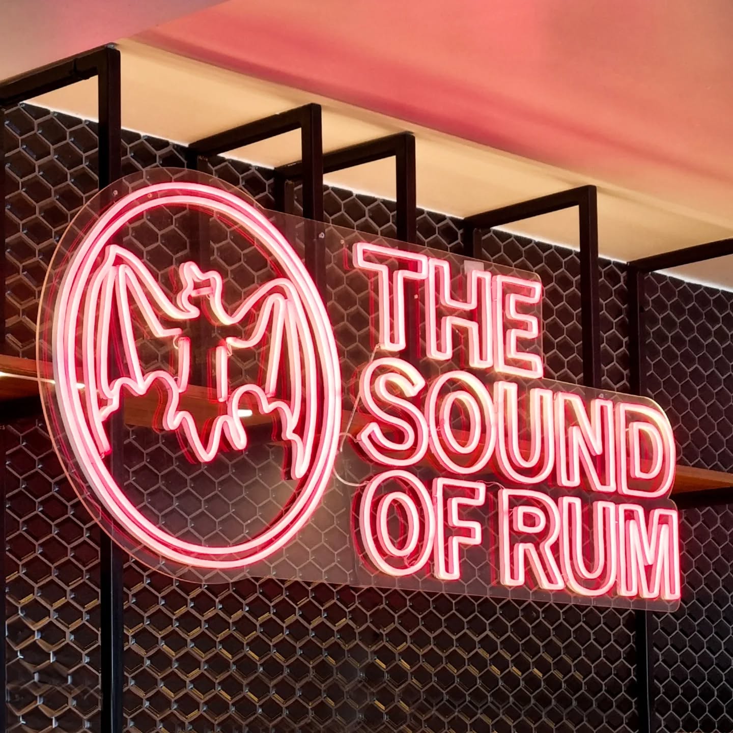 Sip Bacardi like its your birthday 🎵
Custom neon signage for our favourite rum brand.