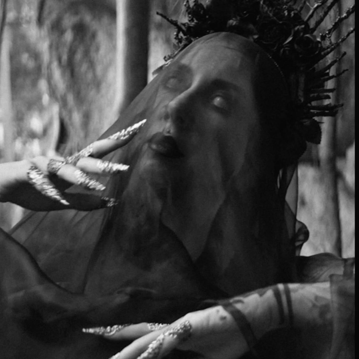 The world we knew has turned to dust,
Our fragile souls consumed by rust.
No hands to hold, no final grace,
Just empty skies and endless space.
#blackreuss #newsingle #oblivion
🖤🤘🖤