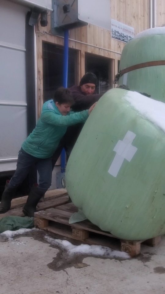 G E M E I N S A M geht's besser👫🏻
#biohof_rofel #landwirtschaft #zusammenarbeit #zusammensindwirstark #siloballen