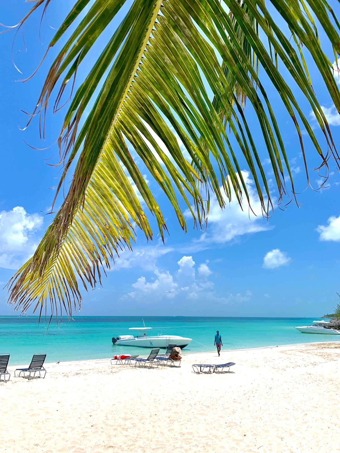 𝕊ℙ𝕆𝕋𝕋𝔼𝔻! Island King making an entrance at Footprints Beach Bar! Inquire today for our Rose Island packages 🌴 @footprints242
*
*
*
*
*
#daycharter #bahamascharter #boatcharter #privatecharter #privatebeach #luxurycharter #travelbahamas #visitbahamas #daytrip #luxuryexcursion #customcharter #secludedbeach #secludedbeaches #oceanaddict #tropicalparadise #boatday #bestbeach #roseisland #thebahamas #bahamastravel
