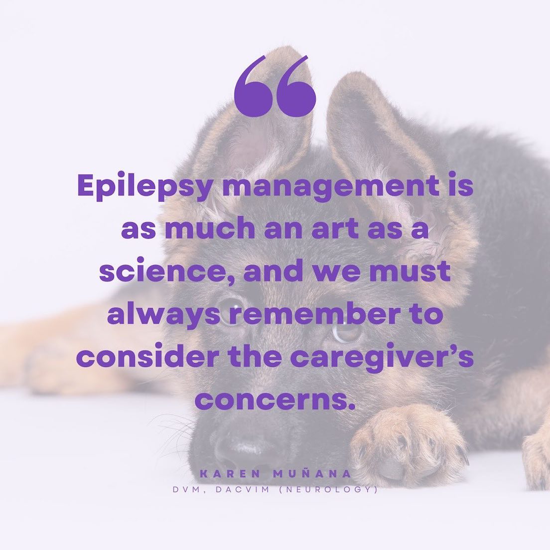 What do you consider critical to successfully managing a dog with
epilepsy?
“Epilepsy management is as much an art as a science, and we must
always remember to consider the caregiver’s concerns. There’s not a “one-size-fits-all” approach to treating dogs with epilepsy. Some owners, for example, are focused on avoiding the side effects of medications, whereas others have a primary goal of reducing or eliminating seizures altogether. These considerations impact our recommendations and should be taken into account when deciding on a treatment plan for an individual dog.” ― Karen Muñana, DVM, DACVIM (Neurology)
Register for VetVine's Canine Epilepsy Summit 🔗 https://bit.ly/PurpleDay23 and save with code MBPurple23. Veterinarians and veterinary technicians save $23. Non-veterinarians save $10. Valid through 3/31. #PurpleDay