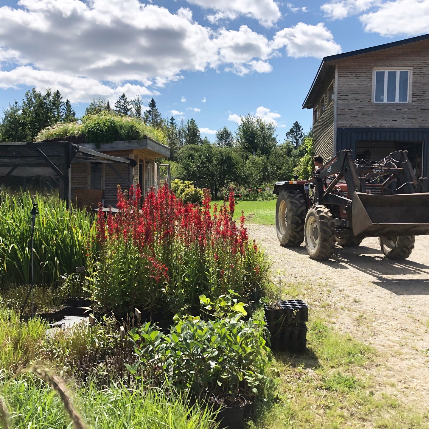 L’été est passé en coup de vent, trainant dans son sillage les aléas climatiques et par del