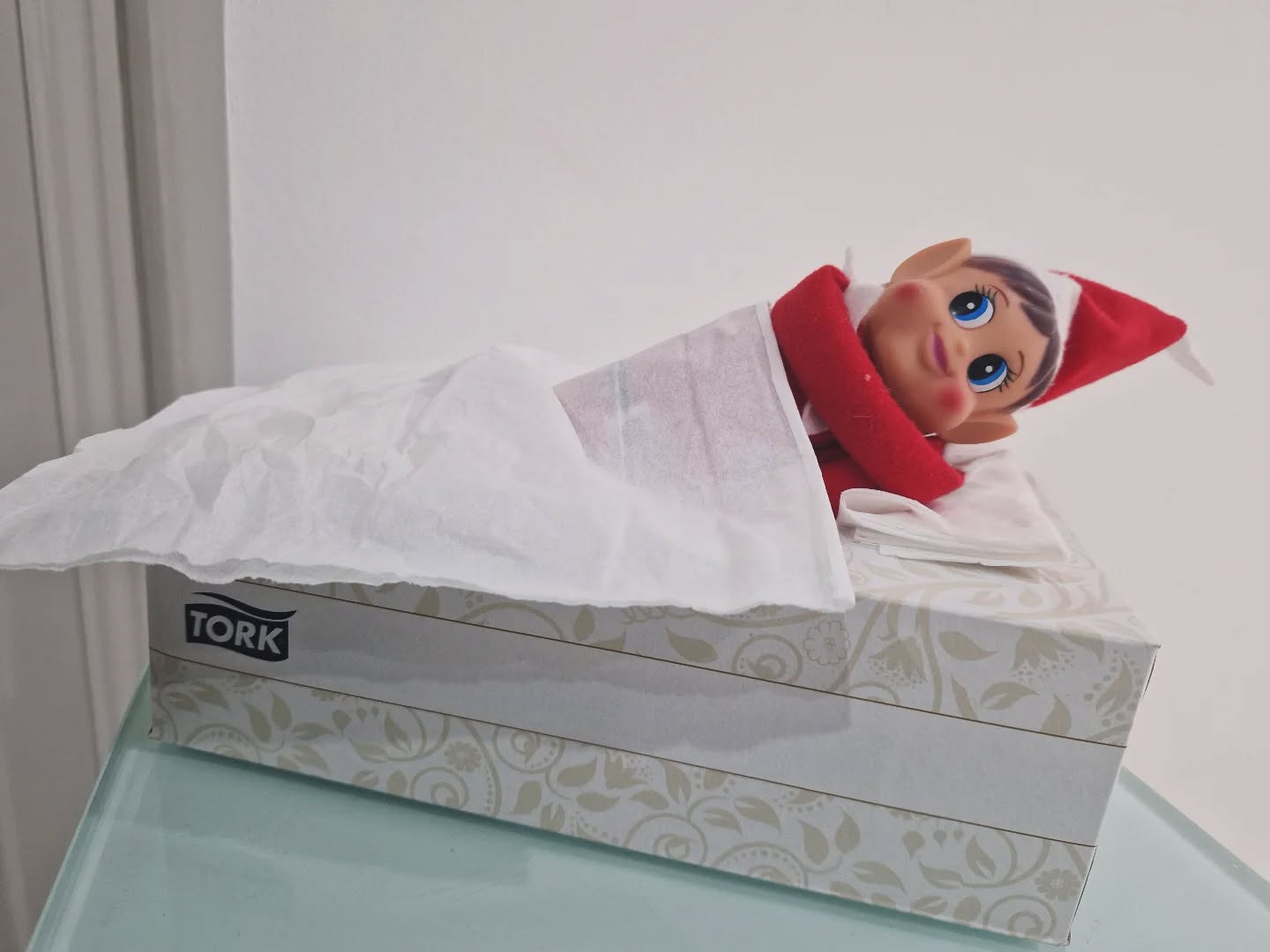 It's tiring being this naughty, Floss has made himself a bed 🛌 😴