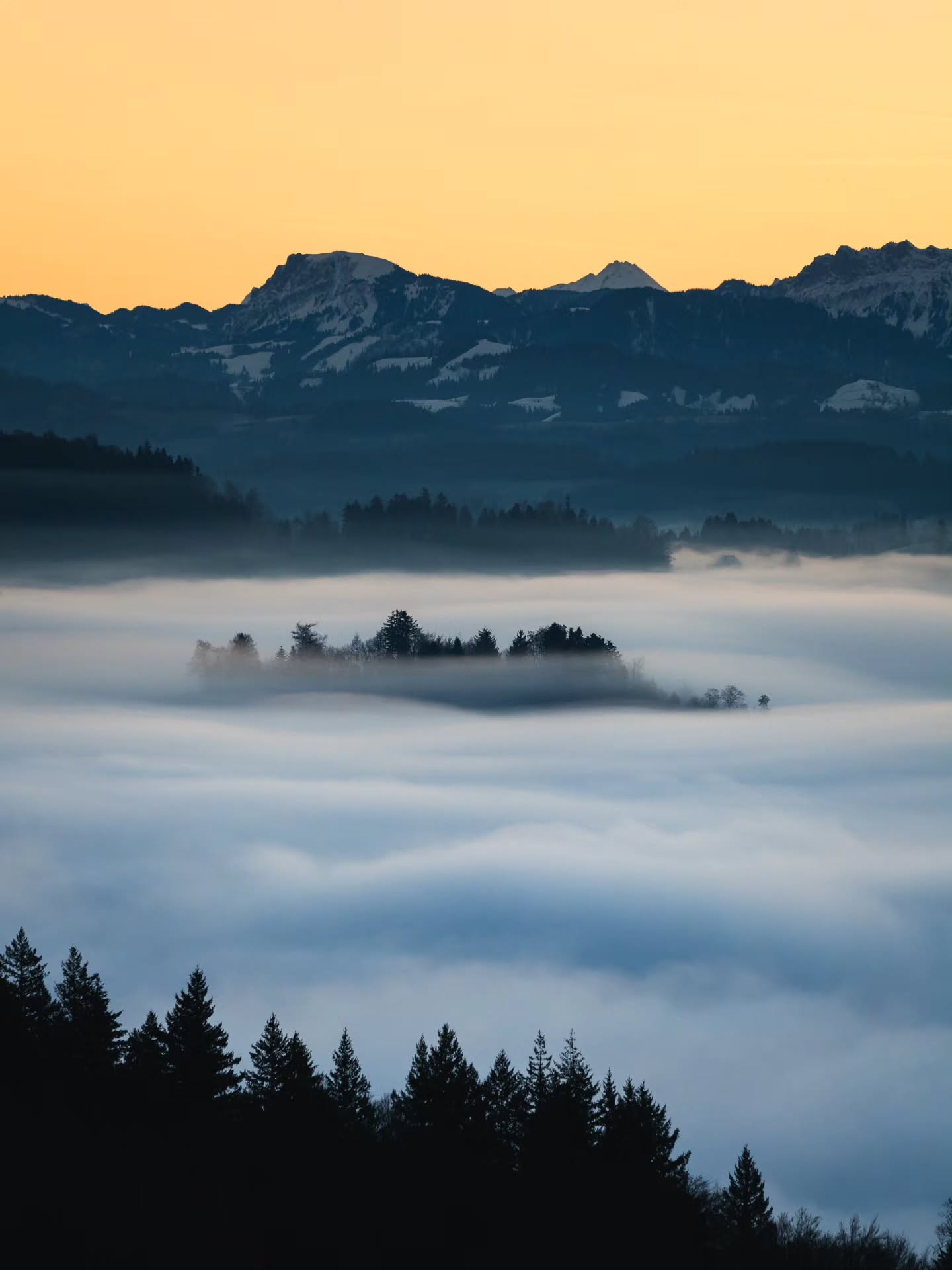 Grey below, colorful above. And a little tree island inbetween.
#bern #fineart #photography