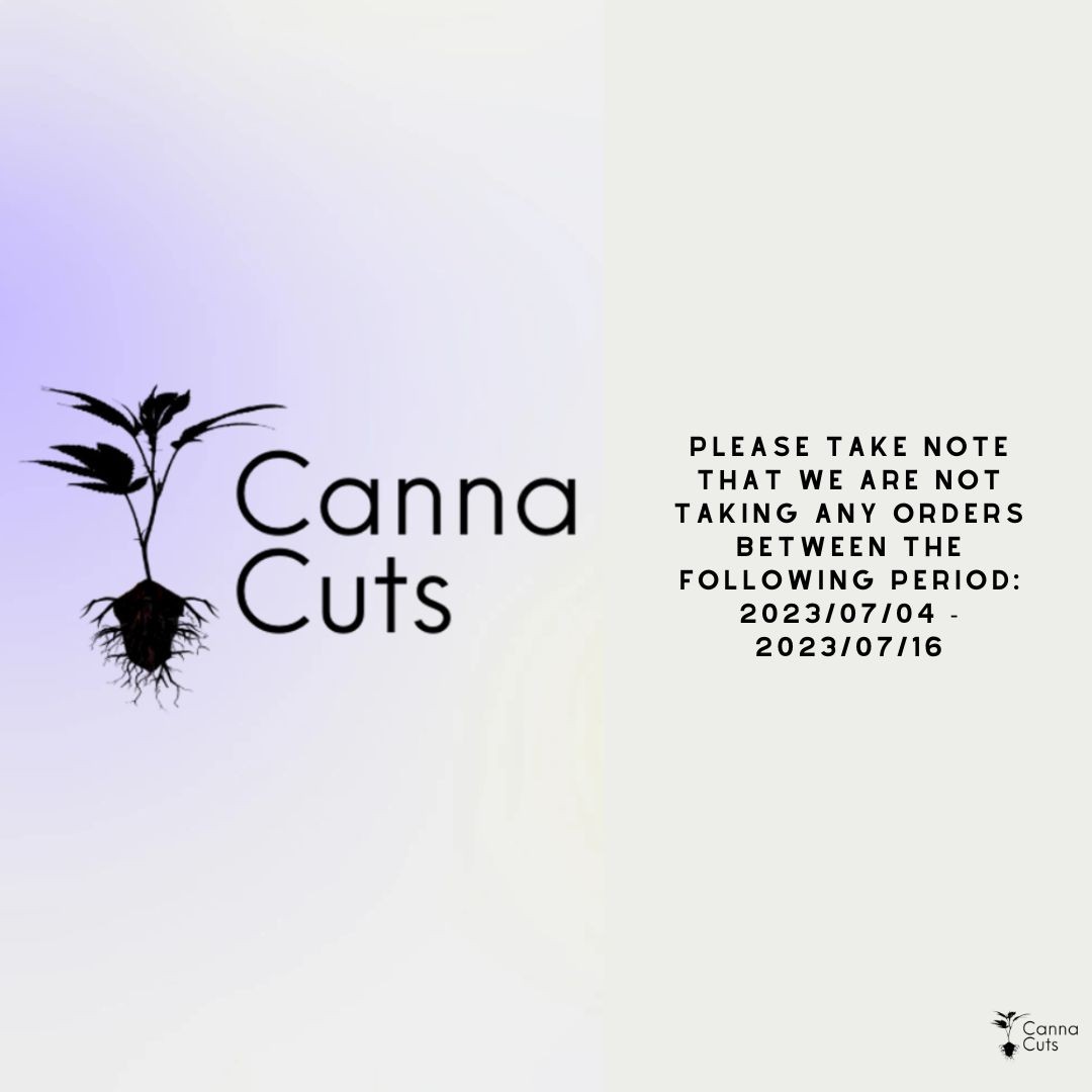 📢 Important Notice 📢
🚫 Order Alert! 🚫
Attention, lovely customers! Kindly take note of our upcoming schedule. We regret to inform you that we will not be accepting any orders from July 4th, 2023, to July 16th, 2023.
⏰ Mark Your Calendars ⏰
Please plan your purchases accordingly, as our order services will resume on July 17th, 2023. We apologize for any inconvenience caused and appreciate your understanding.
🛍️ Stay tuned for amazing deals and new arrivals after this brief pause! 🛍️
#OrderUpdate #ImportantNotice #TemporaryClosure #WeWillBeBack