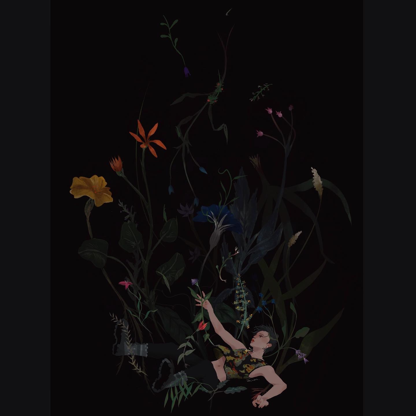 落花
#illustration