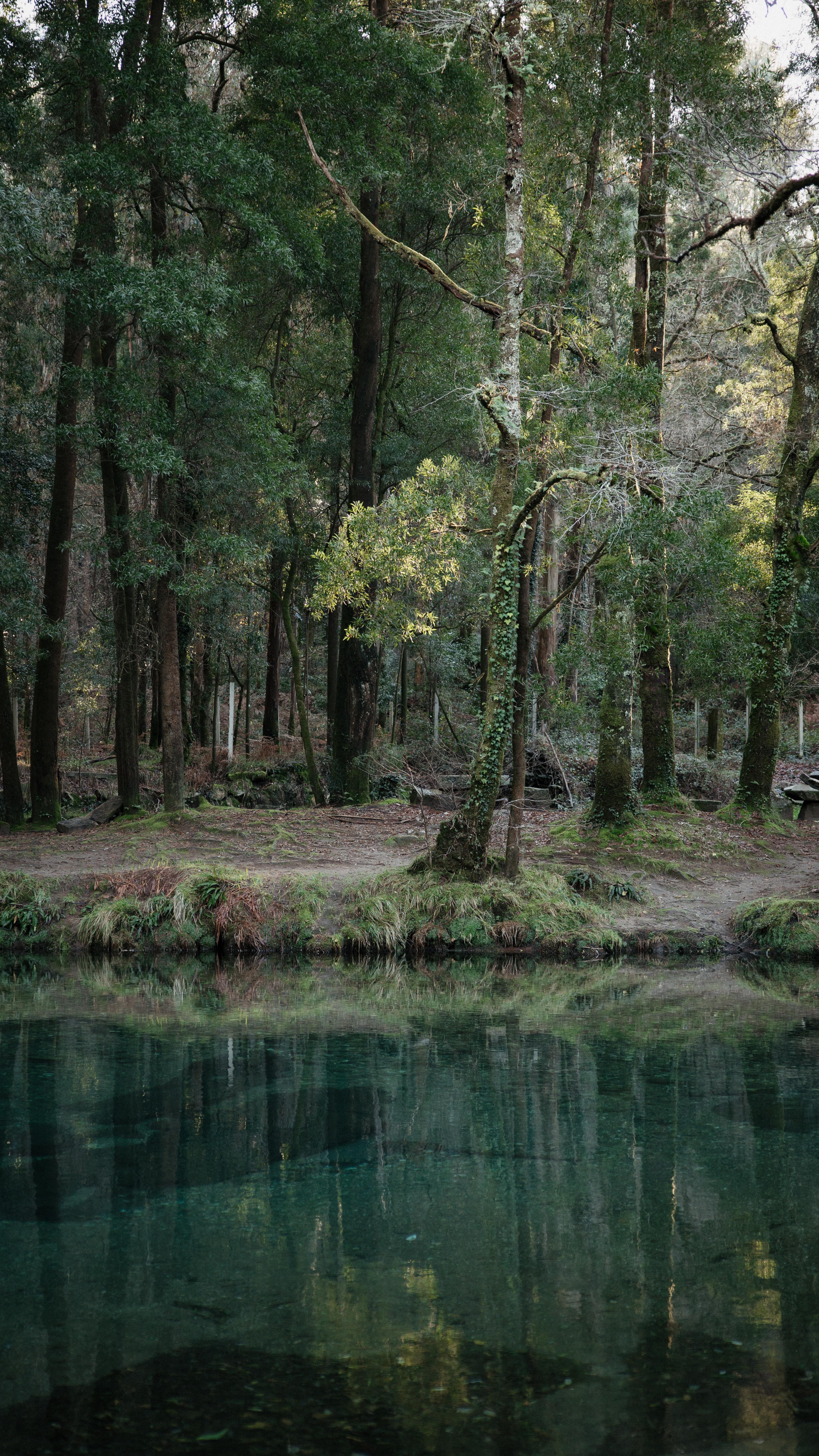 encontrei este vídeo de 2021, que fiz para mim, sozinha.
na altura não sabia que estava a educar a minha audiência e a diferenciar-me, fazia-o apenas por gosto. o auto-retrato estava presente nos meus dias com alguma frequência.
a minha imagem sempre me preocupou porque, eu não consigo descuidar do que gera retorno real.
concordas que o que te faz parar já está a ter retorno?
#imagem #corporativa #direcionamento