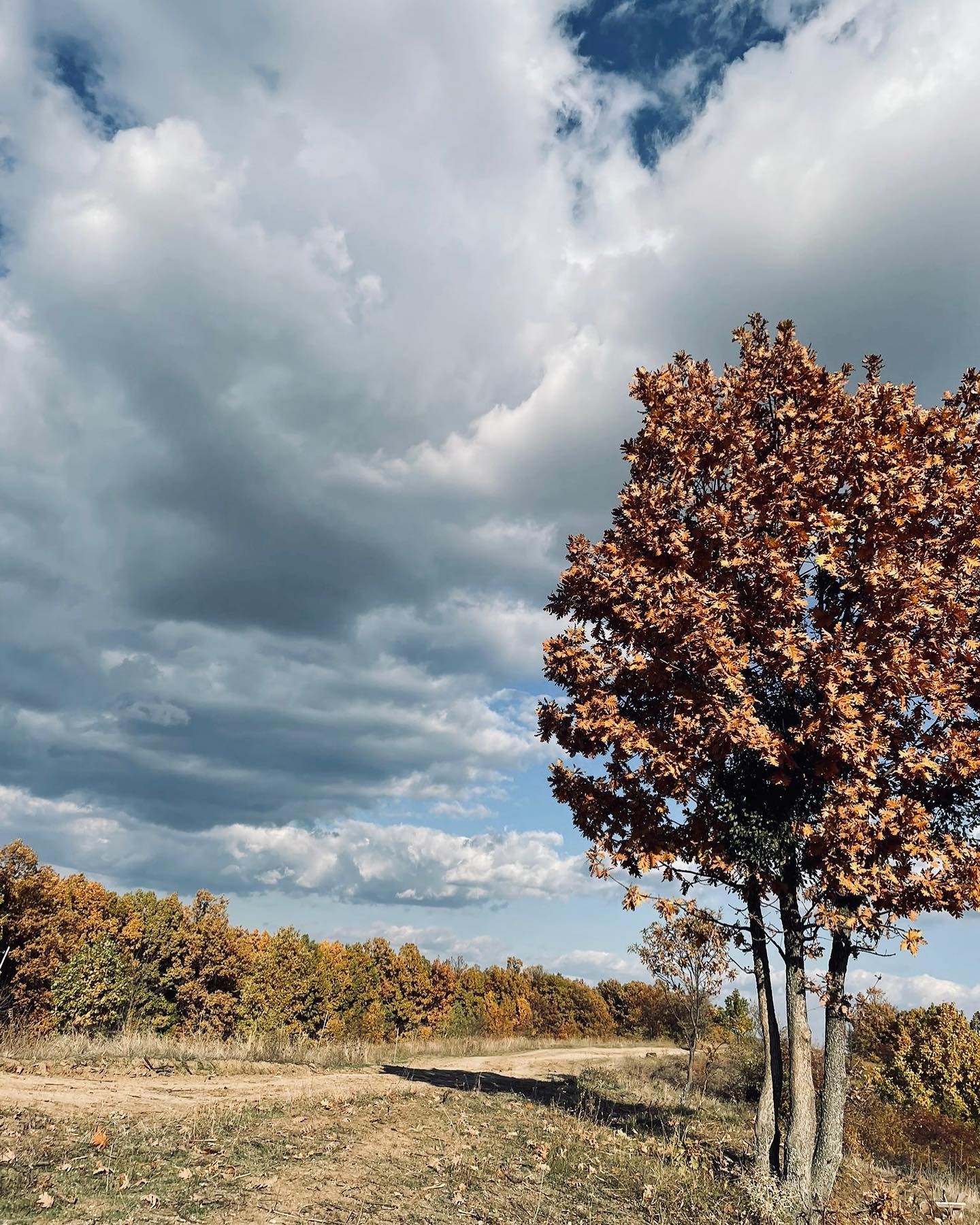 #village #country #countryside #sustainable #farmlife #farmhouse #romania #cattle #angus #angusfarm #grassfed