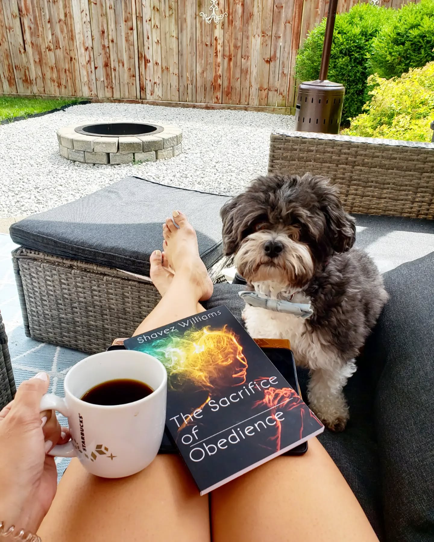 Finally, some time to sit down in a quiet retreat uninterrupted. On today's menu is a book by Pastor Shavez, about seeing God's plan for us in a different perspective and ultimately taking the next step towards fulfilling it. ❤
Enjoying the read so far 💕 #fountainflowministries