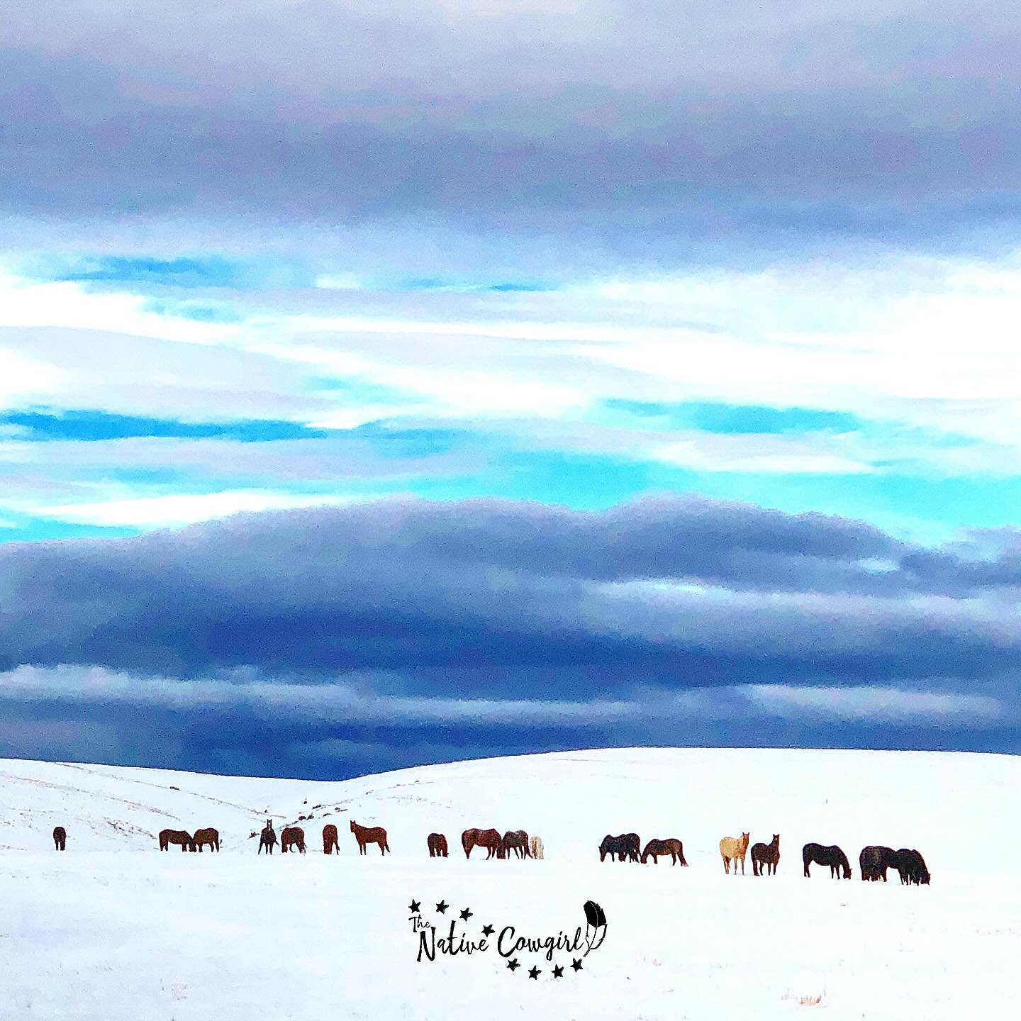 You won’t always feel like doing it.
Do it anyway.
You won’t always feel motivated.
Show up anyway.
Some days you’ll be tired.
Some days you’ll doubt yourself.
Some days it feels like nobody notices how hard you’re trying…
Work harder anyway.
Because here’s the truth most people don’t say out loud…
Nobody is coming to save you.
Nobody is going to hand you your dreams.
Nobody cares about your goals as much as you do.
That might sound harsh…but it’s also freedom.
It means it’s in your hands.
Your grit.
Your discipline.
Your heart.
Out here on the ranch, animals still need fed when it’s cold.
Fences still need fixed when it’s windy.
Horses still need rode when you’re sore.
Life doesn’t wait for feelings.
So we build strength instead.
Not because it’s easy…
But because we’re cowgirls.
And cowgirls show up. Every. Single. Time.
If you’re in a season where it feels heavy, keep going.
Quiet work still counts.
Small steps still matter.
Consistency beats motivation every day.
You’re stronger than you think.
🪶Cheyenne, The Native Cowgirl
#TheNativeCowgirl #CowgirlStrong #GritAndGrace #ShowUpAnyway #WomenWhoRise