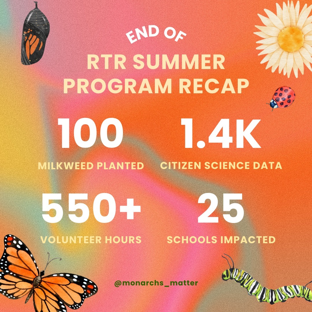 Can’t believe that the summer just flew by just like that! The monarchs are gone, the milkweed is dying back, and all of our Raise, Tag, and Release (RTR) Summer Program students are back in school (including me)!
In my mind, I summarize the RTR Summer Program as a whole lot of work and caterpillars and fun, but let's get some concrete numbers down 🐛🤔
Over the course 11 weeks, we had in total...
🧑💻 2 webinars
👥 10 in-person sessions (1 more for the Commendation Ceremony coming soon!)
🏫 25 schools impacted
🦋 80+ monarch butterflies raised/tagged for @monarch_watch Tagging Program
🌱 100 swamp milkweed planted
🙋 250+ total session attendees
🕓 550+ volunteer hours
🐛 1325 monarch and milkweed observations for @mlmpcitsci Monarch Larva Monitoring Project
and YOU joining us on our journey, whether it's through social media or our RTR program blogs (pssst... more coming soon, but from our students themselves!) Thank you for the bottom of my heart 🫶
#monarchsmatter #monarchbutterfly #summerprogram #summerrecap #communityaction #youthactivism #environmentalaction #biodiversityconservation #pollinators #nativeplants #sustainability