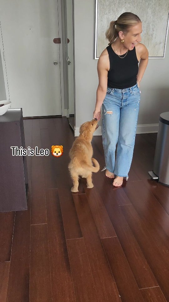 Puppies are super smart when you start speaking their language 🐶
I can help you with that! Follow me so we can chat 😉