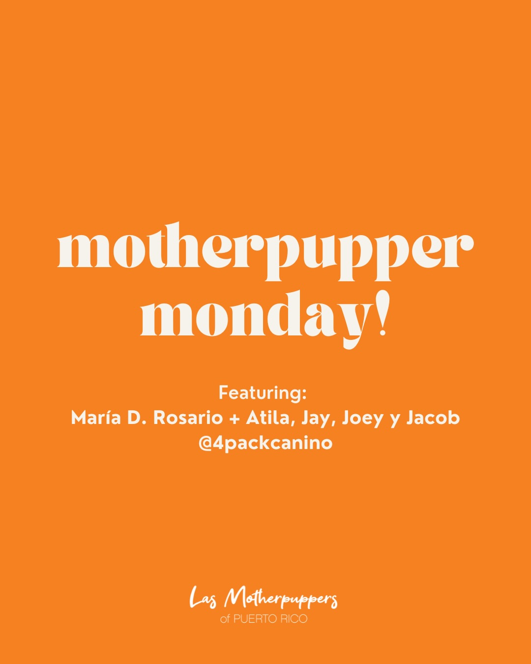 #MotherpupperMonday feature is back! 🎉
Les presentamos a María, dueña de @wouffles.forpets (Cervecitas y Snacks saludables y artenasales para perros), se considera la “Motherpupper amorosa y detallista con cada uno de ellos. Conozco sus personalidades y me preocupo de que siempre estén consentidos y felices.”
María, tiene 4 puppers: Atila, Jay, Joey y Jacob 🧡
Ella los describe como unos puppers: juguetones,
amigables y protectores.
🐾Pueden seguirla en: @m.dumey | @4packcanino
✳️ ¿Quieres ser la próxima motherpupper monday feature? Llena tu información en el formulario que se encuentra en nuestro LINK IN BIO o envíanos un DM.
📲 ¿Tienen una pregunta para María? ⬇️ Déjenla en los comentarios...
#dogmomsofpr #dogsofpuertorico #dogmomsclub #puertorico dogmomfeature