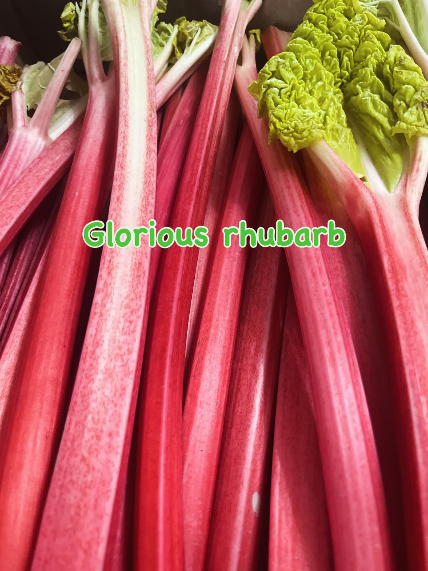 A box of this was delivered today. Tell me what you’d like me to bake with it.