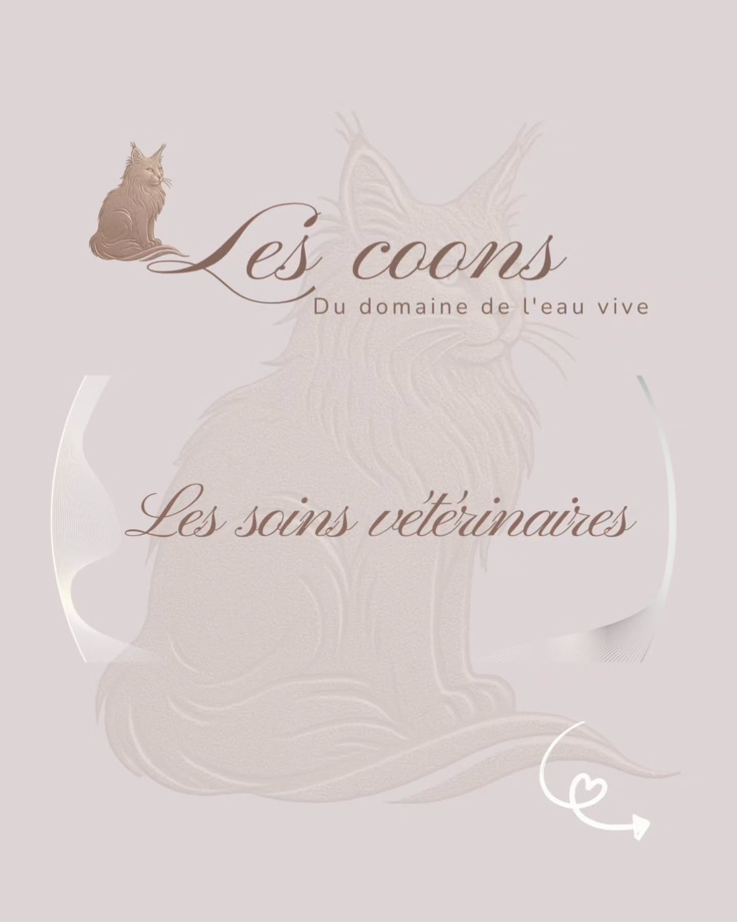 Un Maine Coon en bonne santé, c’est un suivi vétérinaire régulier 🩺
Contrôle annuel, vaccins, vermifuge, détartrage… sans oublier un budget pour les imprévus.
La prévention, c’est la clé 🤍
Carine Zimmermann
Affiliée au Cat Club Romand
Domaine de l’eau vive
1724 Bonnefontaine
+41 79 281 93 88
#santechat #mainecoonlife #chatheureux #preventionanimale #mainecoon