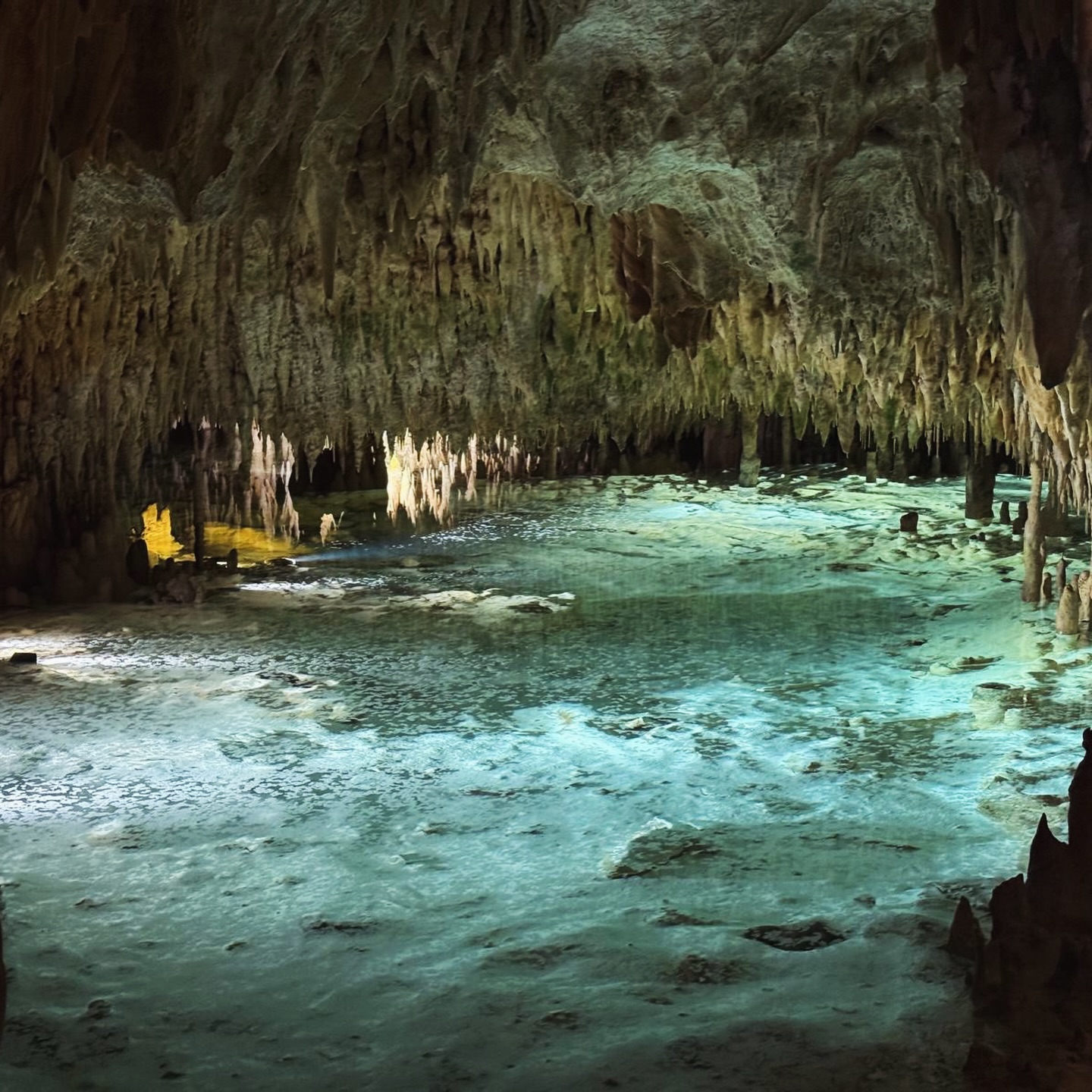 Our Tides class had a sparkling adventure at the Crystal Caves!
In Science this term, the children have been exploring rocks and crystals as well as reading ‘The Pebble in my Pocket’, an amazing book that follows the journey of a rock over millions of years.
Once again, nature proved to be the best classroom! 💎