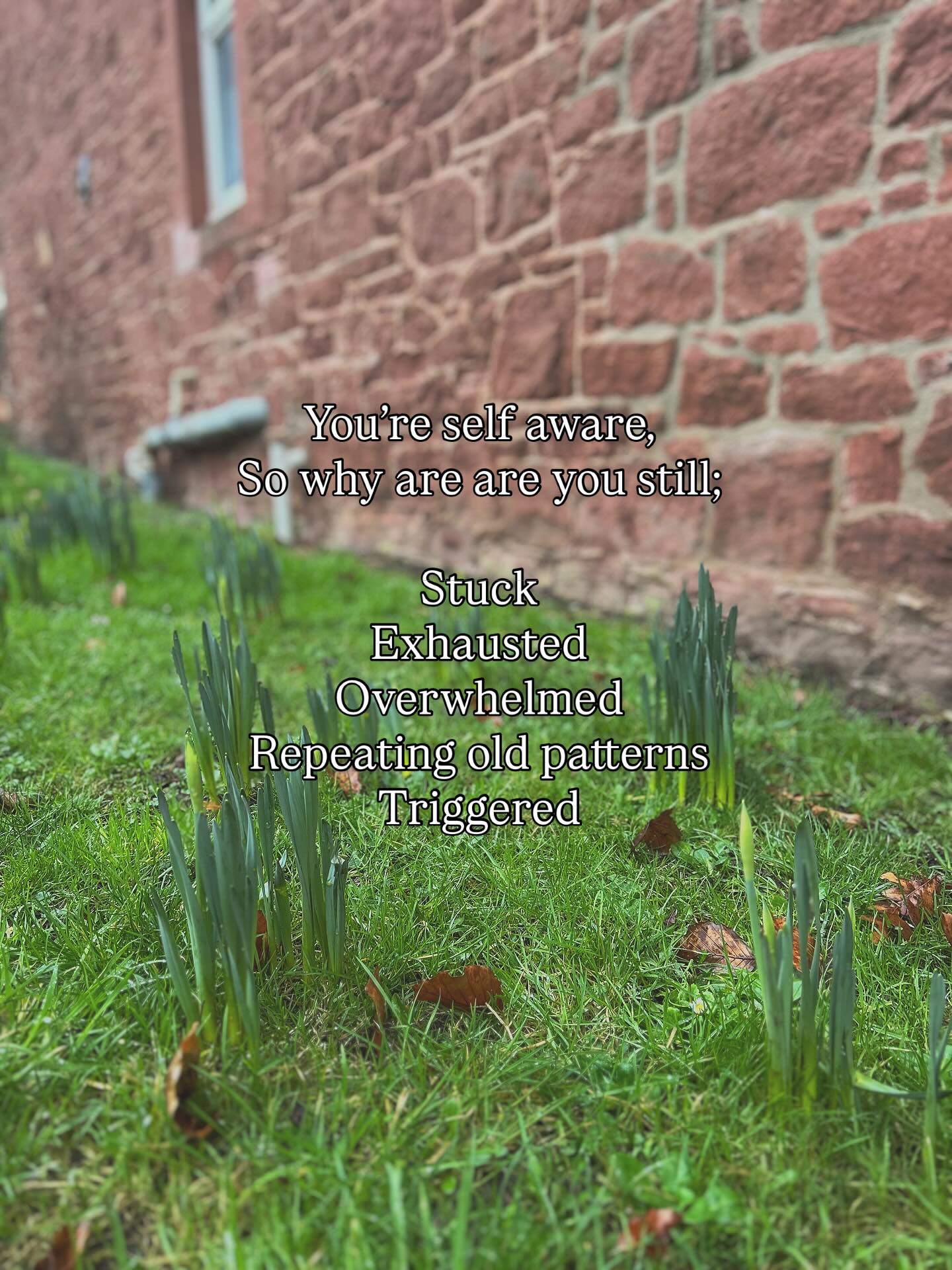 In my work, we bridge the gap between understanding and embodiment, so your body can actually feel the safety, boundaries, and pacing you intellectually agree with.
🌼 Because it’s one thing to say, “I need to rest.”
It’s another for your nervous system to believe it’s safe to stop.
🌼 It’s one thing to know you’re allowed to set boundaries. It’s another for your body not to brace for rejection when you do.
🌼 It’s one thing to recognise you’re stuck in a pattern.
It’s another to have the physiological capacity to choose differently.
Awareness happens in the mind.
Lived change happens when the body updates too.
That’s the difference between insight and integration.
Between knowing — and becoming.
Guiding you towards integration - on living life through your mind AND body - is something I love to do.
My diary is full just now and unable to take any new counselling clients on but feel free to message me to be out on the wait list! 😌
J