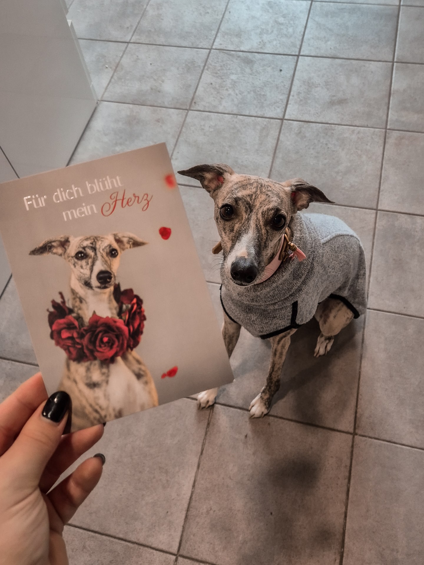 Ria hat uns für den Verkauf ein paar Valentinsgrußkarten von unserem letzten Valentinsshooting gemacht 😍
@riaputzker