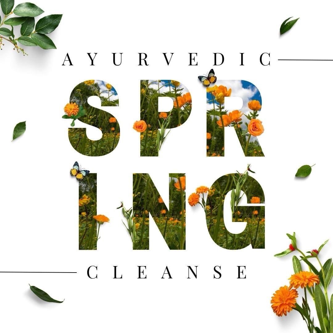🌸 Ayurvedic Spring Cleanse: 28 Days to Renewed Health! 🌸
Are you ready to embrace the season of renewal? 🌿Join our 28-day Ayurvedic Spring Cleanse and embark on a journey to detox, reset, and rejuvenate your mind, body, and spirit.
✨ Phase 1: Remove (14 days) – Gradually eliminate foods and habits that weigh you down, preparing your body for deep detoxification.
✨ Phase 2: Reset (7 days) – Dive into a 2-day juice cleanse followed by a 5-day nourishing Kitchari cleanse to reset your gut and release toxins.
✨ Phase 3: Rejuvenation (7 days) – Slowly reintroduce wholesome foods and Ayurvedic practices to build lasting balance and vitality.
This cleanse is about nurturing yourself, honouring your body, and connecting with the wisdom of Ayurveda. 🌼Whether you’re looking to detox toxins, boost your energy, clear your mind, or refresh your digestive system, this cleanse will guide you toward a lighter, brighter you!
🌟 Ready to transform your health this spring? DM me to get started on your 28-day Ayurvedic journey! 🌟
#AyurvedicCleanse #28DayCleanse #SpringDetox #Ayurveda #MindBodySoul #Balance #TulaAnanda #HolisticHealth #CleanseAndRejuvenate #WellnessJourney #SpringRenewal