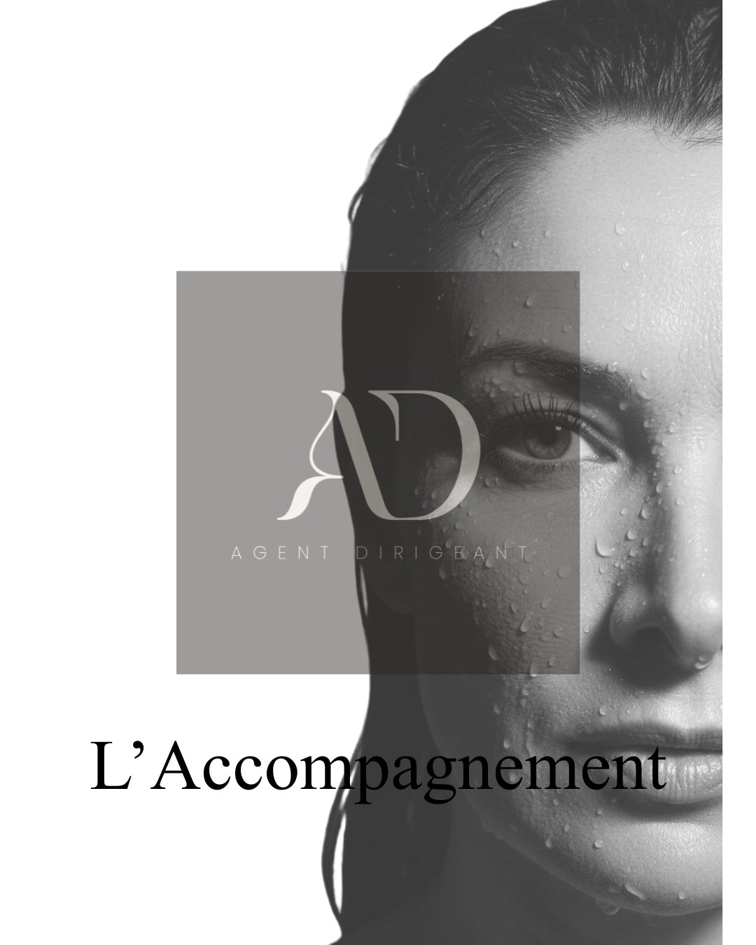 L'accompagnement Agent Dirigeant ...