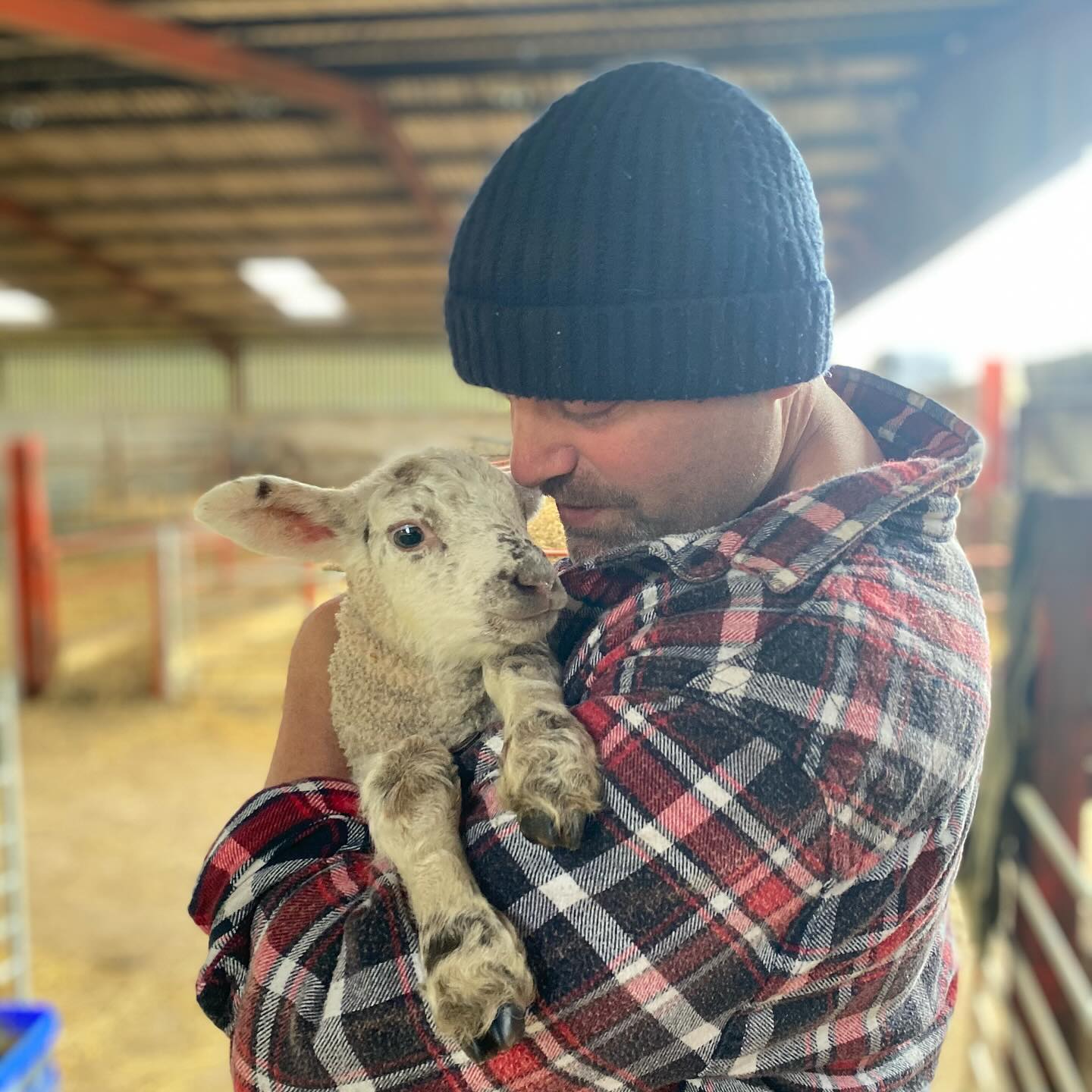 I just want to take this opportunity to thank all my family, friends and colleagues for their incredible support and for all of the kind messages throughout my recent, unexpected and preventative open-heart surgery. Iām a lucky man!
I have slowly integrated myself back into working life with our amazing Wallace Timber Team; who in my absence, ran the company with amazing efficiency, professionalism and grace!
Iām enjoying the long Easter weekend lambing our small flock, and loving every minute!
Happy Easter to you allā¦ā¦ š
#happyeaster #lambing #lovinglife #onelife #grateful #greateam #teamwork #wallacetimberservices