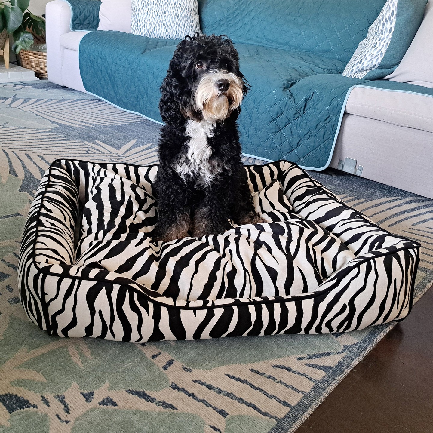 Darling Dublin the Mini Aussie relaxing on our Zebra Lounger Bed. Cover is removable with zippers for laundering.