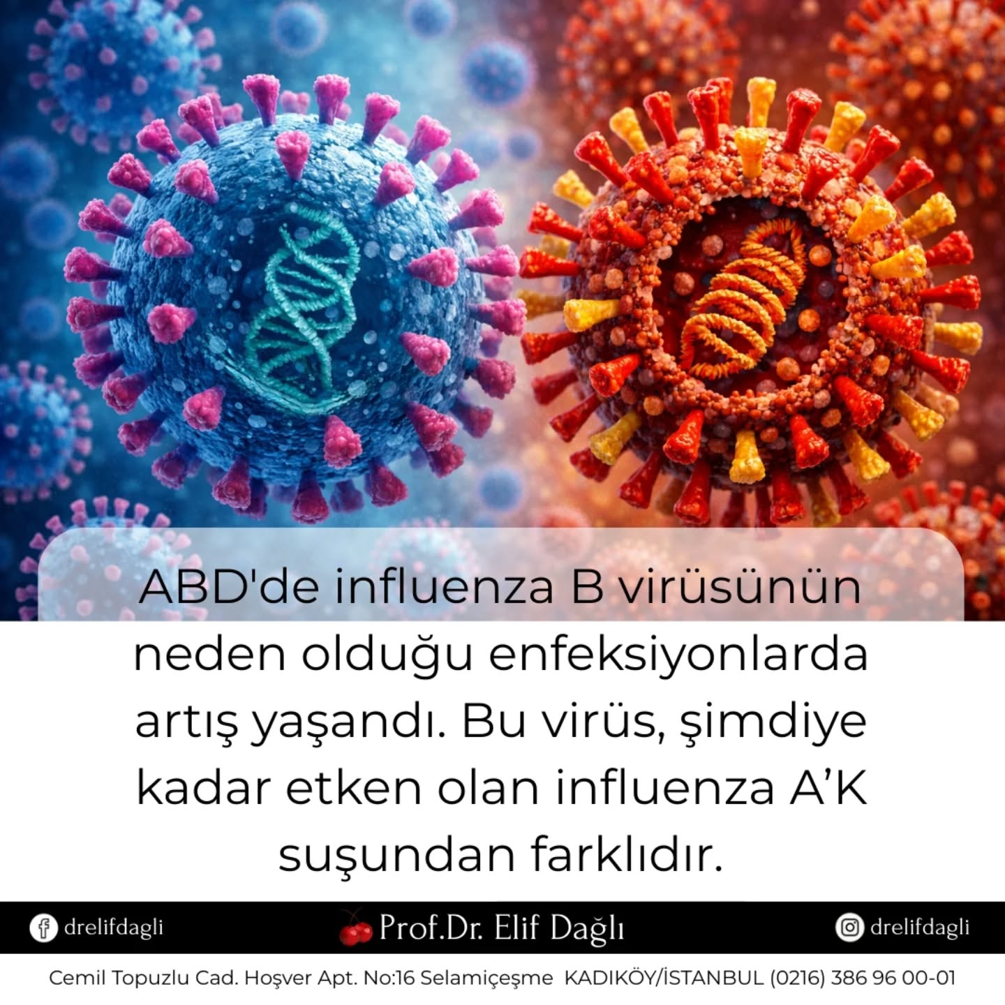 ABD'de influenza B virüsünün neden olduğu enfeksiyonlarda artış yaşandı. Bu virüs, şimdiye kadar etken olan influenza A’K suşundan farklıdır.