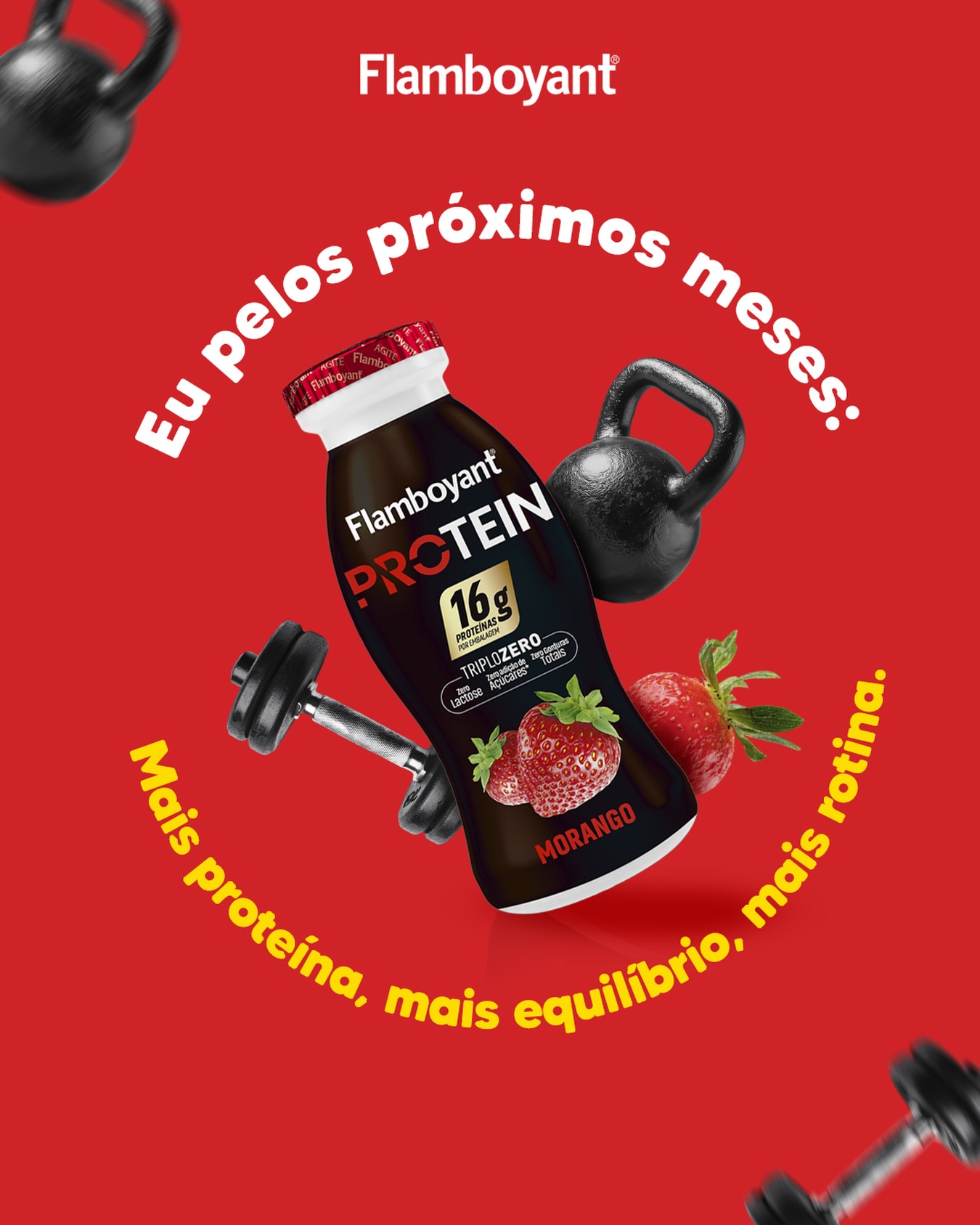 Mais proteína, mais equilíbrio, mais rotina. 💪
O Protein Flamboyant chega com muita proteína, ideal pra quem busca energia, constância e escolhas que acompanham o seu dia a dia, do treino à pausa entre uma tarefa e outra.
Porque cuidar de você também faz parte da rotina.
#Flamboyant #ProteinFlamboyant
#MaisProteína #BemEstar #RotinaSaudável