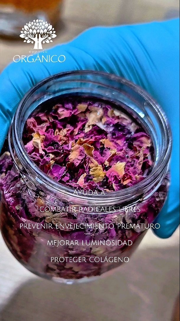 Podría comprar extractos listos…
pero prefiero hacerlos yo 🌹
Sin alcohol, sin solventes fuertes.
Solo maceración lenta durante semanas para extraer todos sus activos.
¿El resultado?
Un extracto calmante, hidratante y antioxidante que ayuda a regenerar, suavizar y devolver luminosidad a la piel.
Cosmética lenta, consciente y efectiva 🌿
#extractosbotánicos #rosas #organico #cosmeticanatural #natural