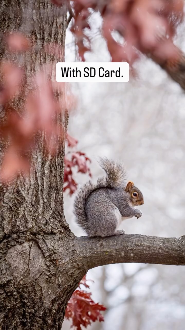 Don’t even get me started on the battery. 🔋📸
#photographerhumor #relatable #photographerlife