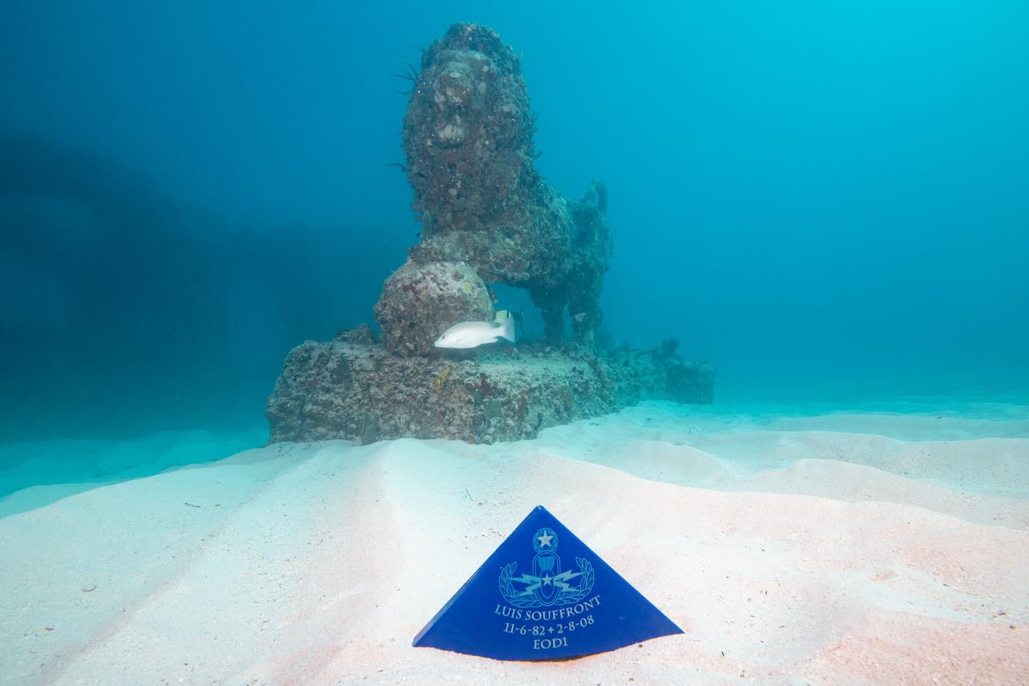 SubSurface Veterans placed this memorial plaque at the Neptune Memorial Reef this past Saturday. It is always an honor to dive this memorial. Big thank you to @carriew123 and @scottwilkinson101 for making this memorial plaque in honor of Luis Souffront. More pics and videos to come @jsamuel215 @luissouffrontmemorialdive @neptunememorialreef @diversparadisemiami #veteran #scuba #therapy #lltb #coldwater