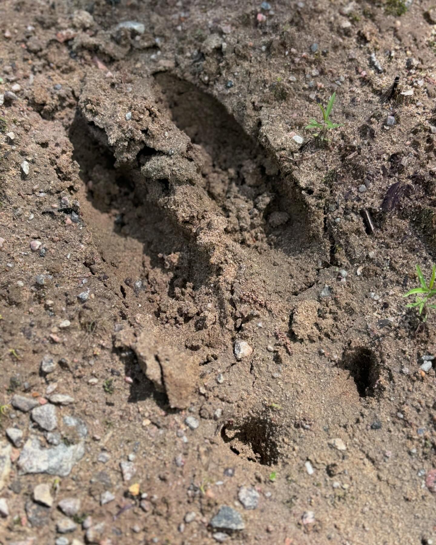 Dreaming about Fall!!!