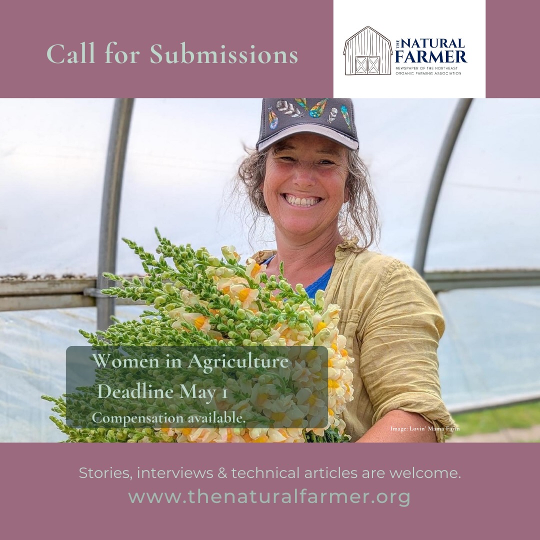 🌸We are so excited to feature all of the amazing women in agriculture and we need to hear from YOU!
💚There is still time to submit and we’d love to feature more perspectives!
📢Do you or someone you know have a story, interview, or technical review you want to share in an upcoming issue? Compensation is available and the deadline to submit is May 1st!
🌻Thank you everyone who has submitted articles and photos for this issue so far!
@nofavermont @nofanewyork @nofamass @nofanj @nofanewhampshire @nofa_ri
@ctnofa
.
.
.
#WomenInAgriculture #NOFA #OrganicFarming #RegenerativeAgriculture #TheNaturalFarmer
