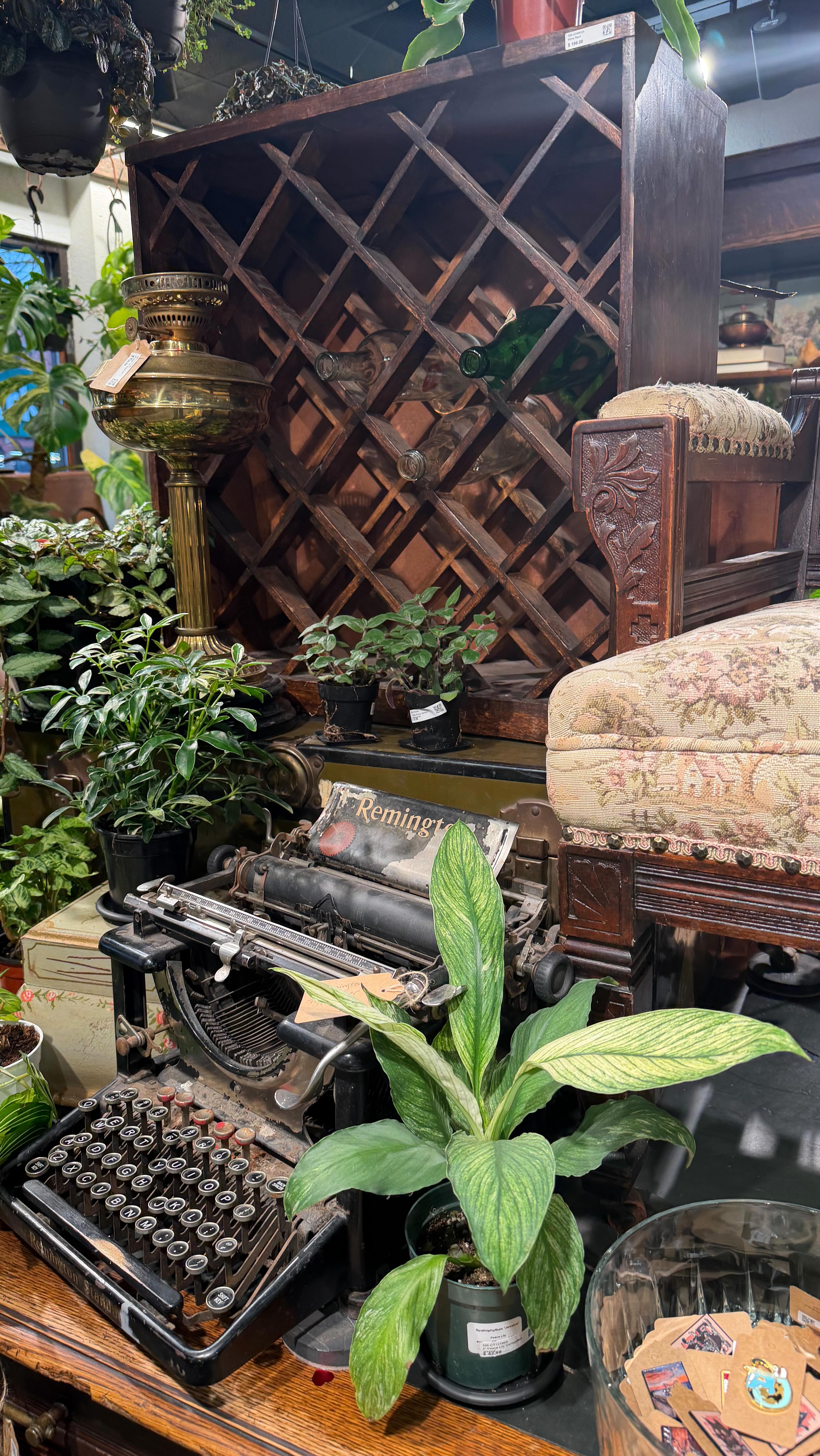 I said I was gonna cut back on shopping, so obviously I bought plants instead 🌿😌
Because that’s not shopping, it’s ✨self care✨
#PlantPeople #JustOneMorePlant #PlantAddict #PlantsMakeMeHappy