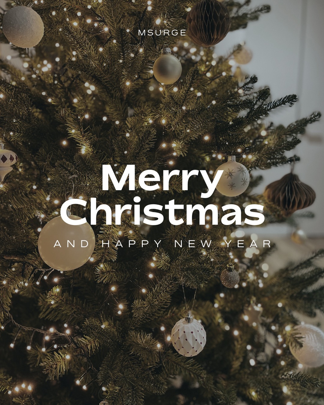 Wising you all a very Merry Christmas! Enjoy the holidays! 🎄❄️♥️