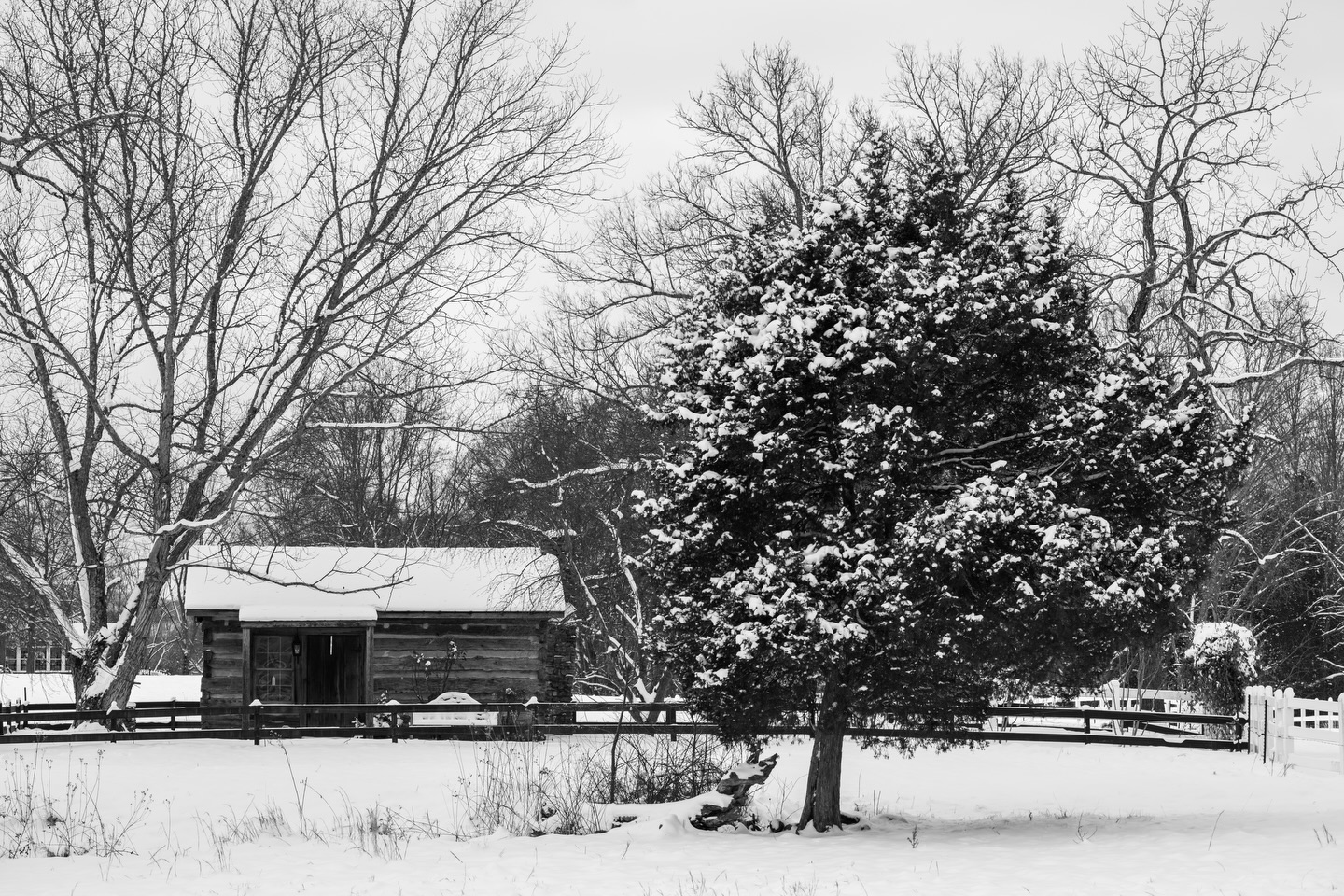 Black and white of a lovely barn blanketed in snow in Church Hill, TN.
Camera: FujiFilm XT5
Lens: FujiFilm 50-140 f2.8
No filter
#fujifilmxt5 #fujifilmx_us #tennessee #snow #blackandwhitephotography