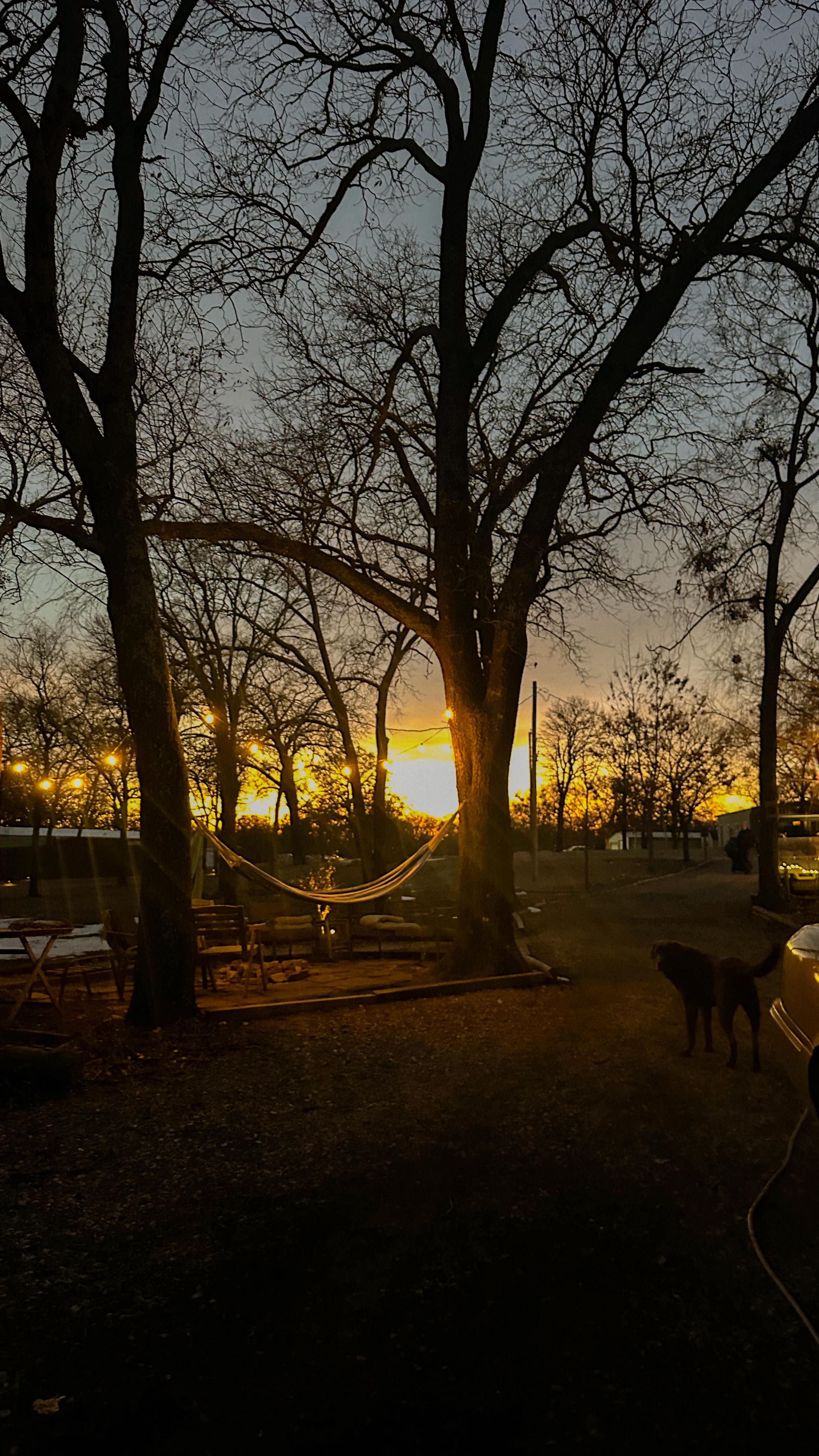 day one of deciding to pick up the piano again
#music #cover #lanadelray #nfr #pianocover