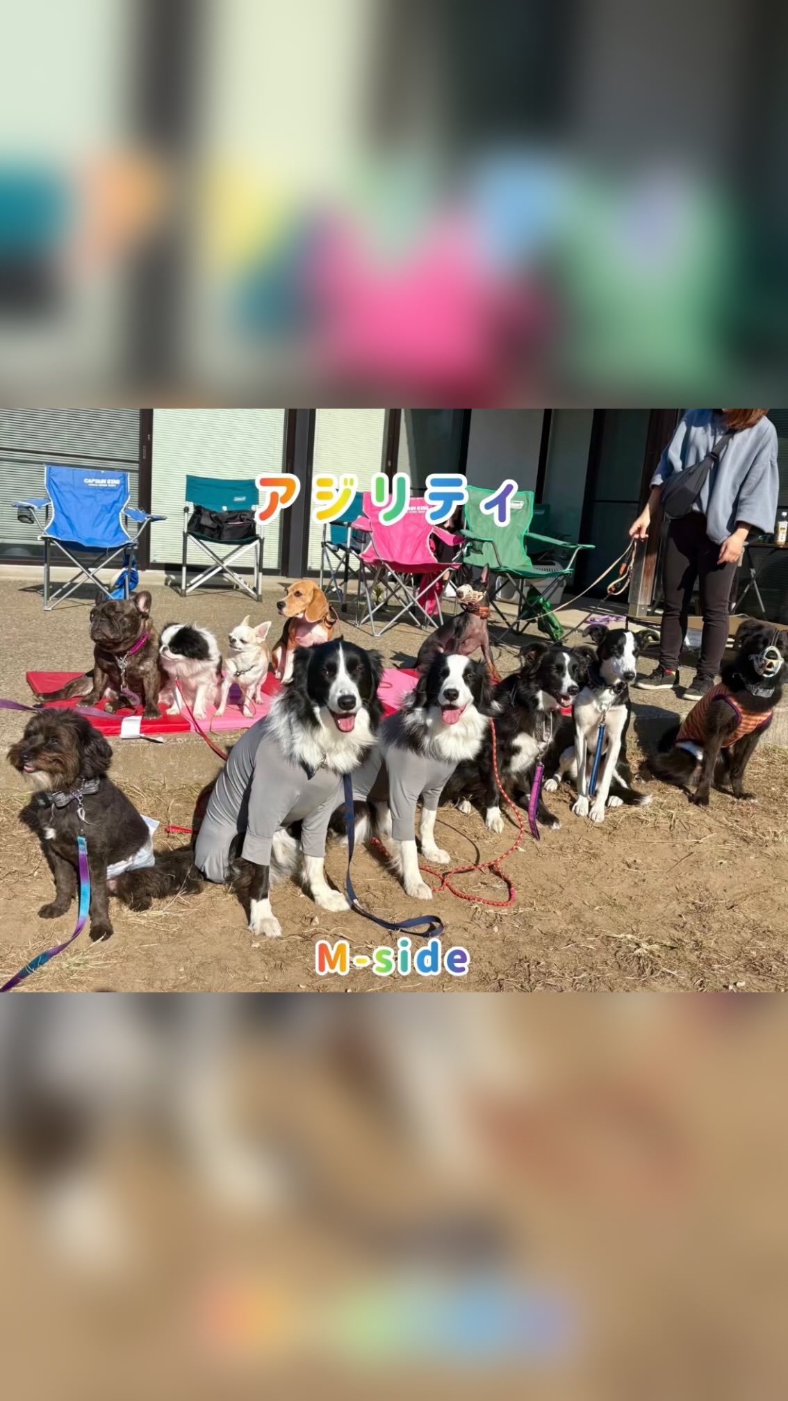 ã¢ãžãªãã£âš
ãåå ããããšãããããŸããð
#dbsmiyama
#ããã°ãã¬ãŒããŒ
#é¢ä¿æ§ã®å°éå®¶
#ããã°ããã€ããŒã¹ãã·ã£ãªã¹ã
#ããã¯ã³ã³ãããŒã«
ã¢ãžãªãã£
ãã¬ãã«
ãã³
ãã¯ã¯
ããŒã°ã«
ãã€ãã³
ããŒããŒã³ãªãŒ
ããŒããŒMIX
ãã¡ããŒããã¶
ãã©ã€ããŒãã»ãã·ã§ã³
ããã¯ãŠã©ãŒã¯
ã°ã«ãŒããã¬ãŒãã³ã°
ç¬ã®ãã€ã ç¬ã®åé¡è¡å
ããã°ãã¬ãŒãã³ã° ãæ³ãå宿
ãªãã㬠ããã¯ã³ã³ãããŒã«
åºåŒµãã¬ãŒãã³ã° ããã°ããã€ããŒ
ããã°ãã¬ãŒã㌠ããã°ã¬ã¹ãã¥ãŒ
è奮 ã¶ã£èŸŒã¿ åŒã£åŒµã å ã åã¿
msiderescueddog 深山倩次å
dbsmiyama