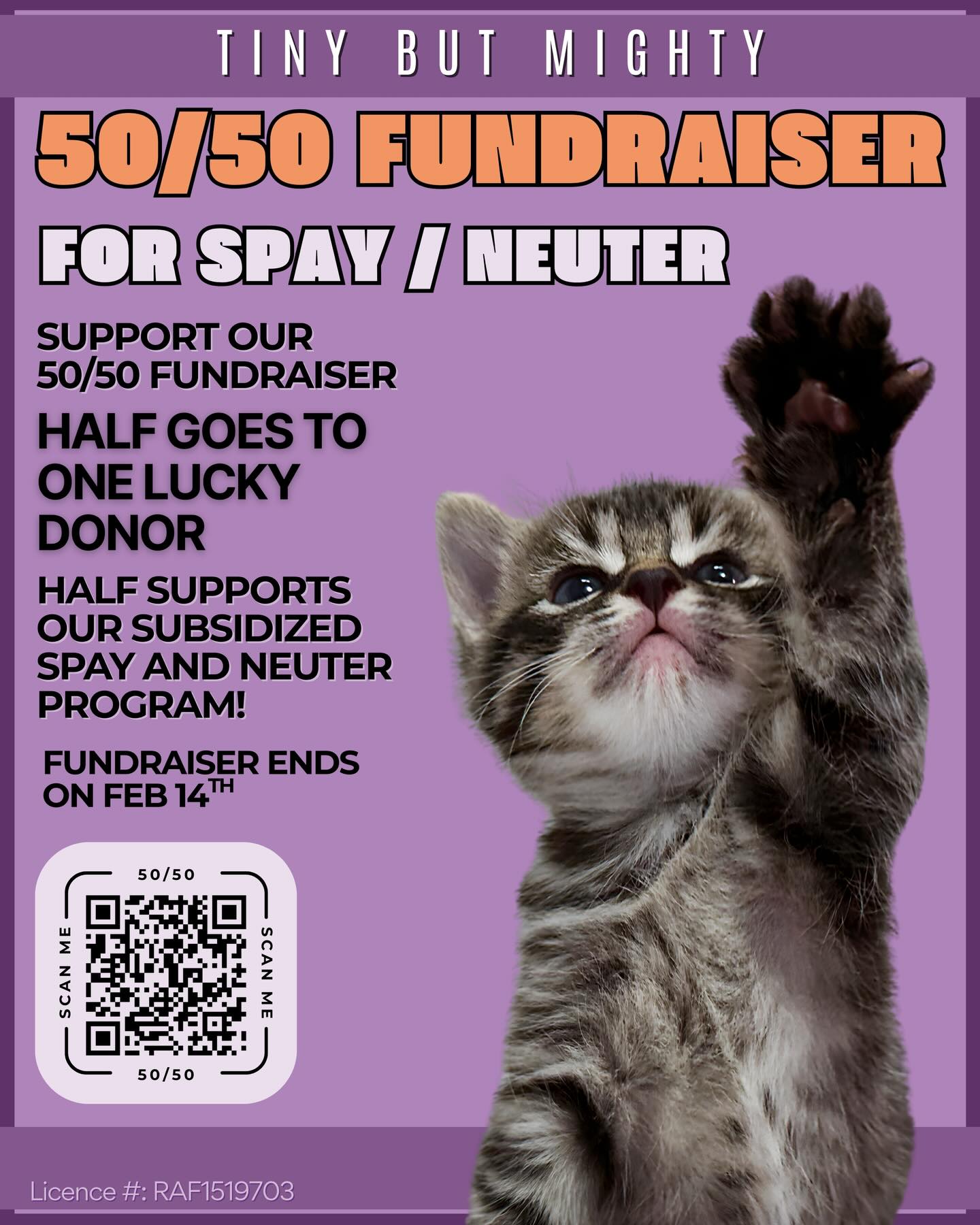 ❗️SAME fundraiser - NEW wording❗️🙀
Facebook put a block on our page so we are now restricted!
Please note that our fundraiser is still ongoing but we need to be more cautious with our wording and remove key words that could get flagged. As our page is restricted, new people cannot see our posts. This is extremely detrimental to our mission and our ongoing spay/neuter fundraiser! 😩
If you notice previous posters/posts related to our current fundraiser it is because we have removed them to avoid further restrictions. Our fundraiser still ends on February 14th, as planned.
Please help us by sharing this post to your Ontario friends and family! It’s the only way for us to get the word out now!
-
Support our 50/50 fundraiser! Half goes to one lucky donor, the other half goes towards our spay/neuter program.
One lucky donor is getting at least $1,000!
Our mission is to help sterilize as many cats as possible to reduce the number of unwanted kittens.
This specific fundraiser is open Ontario wide. (AGCO rules, not ours)
Scan the QR code or visit this website to support our fundraiser: https://www.rafflebox.ca/raffle/tbmkr
Thank you! 💜