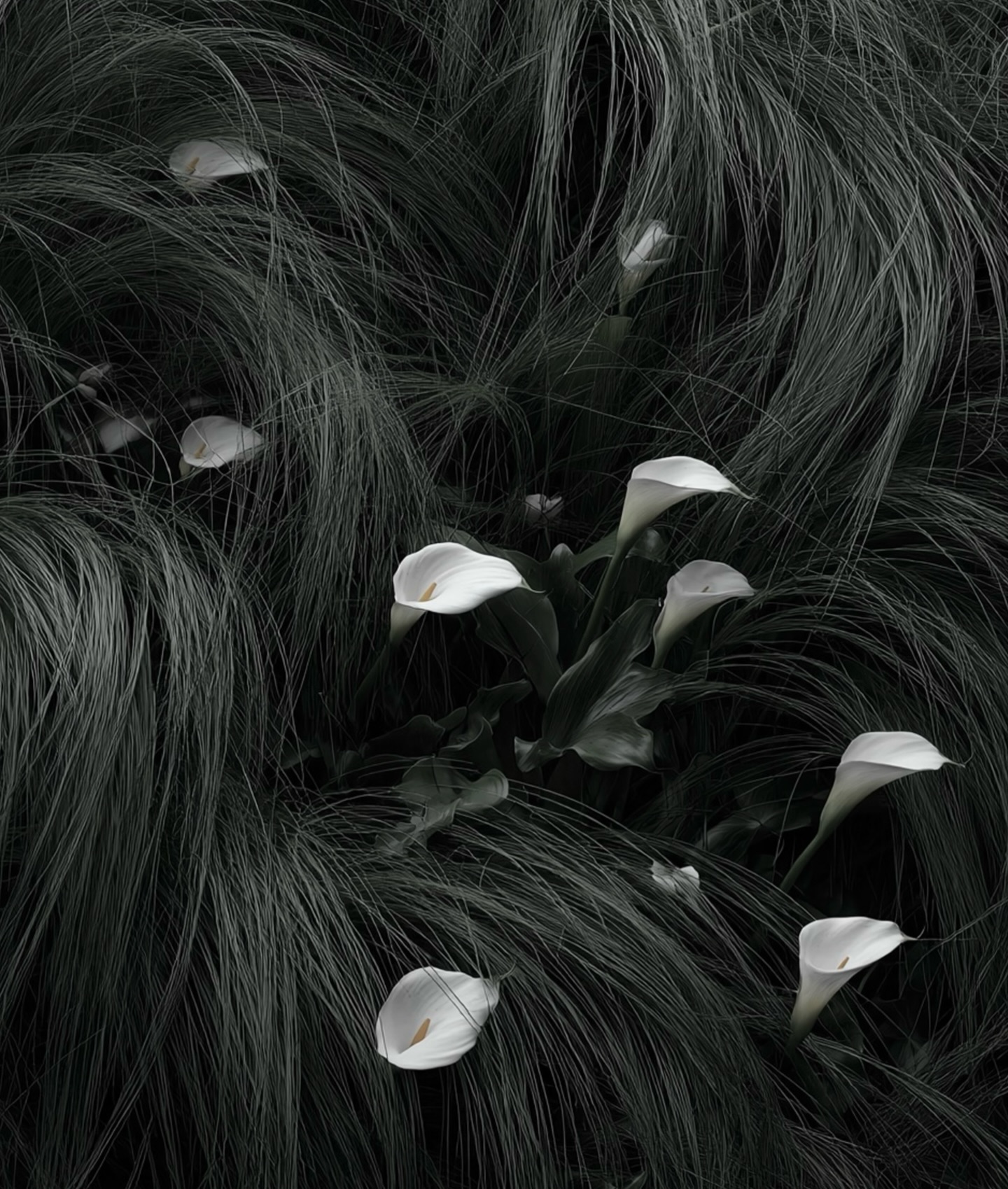 下次預購會在三月中,實際時間稍後再公布🤍