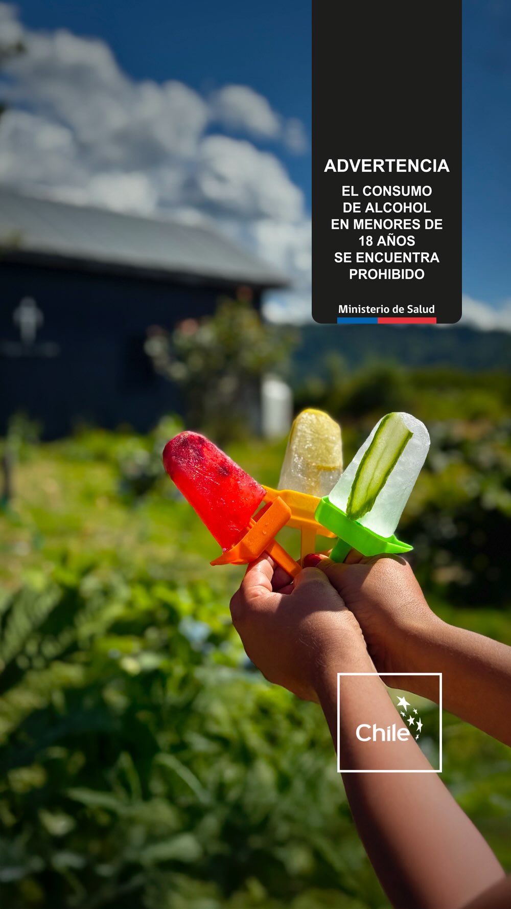 Sigamos vibrando el verano Tepaluma ☀️ Hoy llegamos con una nueva forma de disfrutarlo, helados de Gin Tonic.
100 ml de Tepaluma Gin
400 ml de tónica neutra
Frutas, hierbas y garnishes a tu gusto.
(Si lo quieren más dulce pueden agregar azúcar o almíbar a la mezcla)
Colocamos los moldes por al menos 6 horas en el congelador y a disfrutar el espíritu del bosque en versión helada ✨🍸
Real. Salvaje. Icónico. Tepaluma®
………………
🍸 Tours + bar en la destilería
⌚️ Abierto de lunes a domingo de 10:00 a 13:00 y de 16:00 a 20:00 horas (Bar)
📍 Carretera Austral, km 350
👉 Reserva tu tour en tepaluma.com/tour
📍 En la Región de Aysén distribuye Gran Calafate (+56 9 3233 0996) y nos encuentras en un sinnúmero de botillerías, supermercados y tiendas especializadas.
………………
⚠️ ᴀᴅᴠᴇʀᴛᴇɴᴄɪᴀ: ᴇʟ ᴄᴏɴsᴜᴍᴏ ɴᴏᴄɪᴠᴏ ᴅᴇ ᴀʟᴄᴏʜᴏʟ ᴅᴀñᴀ ᴛᴜ sᴀʟᴜᴅ I ɴᴏ ʙᴇʙᴇʀ ᴀʟ ᴄᴏɴᴅᴜᴄɪʀ I ʀɪᴇsɢᴏ ᴘᴀʀᴀ ᴛᴜ ʙᴇʙé I ɴᴏ ʙᴇʙᴇʀ ᴍᴇɴᴏʀᴇs ᴅᴇ 𝟷𝟾 ᴀñᴏs I ᴍɪɴɪsᴛᴇʀɪᴏ ᴅᴇ sᴀʟᴜᴅ
ℹ️ᴠᴀʟᴏʀ ᴇɴᴇʀɢéᴛɪᴄᴏ ᴅᴇ ᴛᴇᴘᴀʟᴜᴍᴀ ɢɪɴ: 𝟸𝟺𝟶 ᴋᴄᴀʟ ᴘᴏʀ ᴄᴀᴅᴀ 𝟷𝟶𝟶 ᴍʟ I ᴛᴇᴘᴀʟᴜᴍᴀ ᴍᴀǫᴜɪ ɢɪɴ: 𝟸𝟷𝟽 ᴋᴄᴀʟ ᴘᴏʀ ᴄᴀᴅᴀ 𝟷𝟶𝟶 ᴍʟ I ᴛᴇᴘᴀʟᴜᴍᴀ ɢɪɴ ᴀñᴇᴊᴀᴅᴏ: 𝟸𝟺𝟻 ᴋᴄᴀʟ ᴘᴏʀ ᴄᴀᴅᴀ 𝟷𝟶𝟶 ᴍʟ
#TepalumaGin #Patagonia #PatagoniaChilenia #DestileríaTepaluma #helado