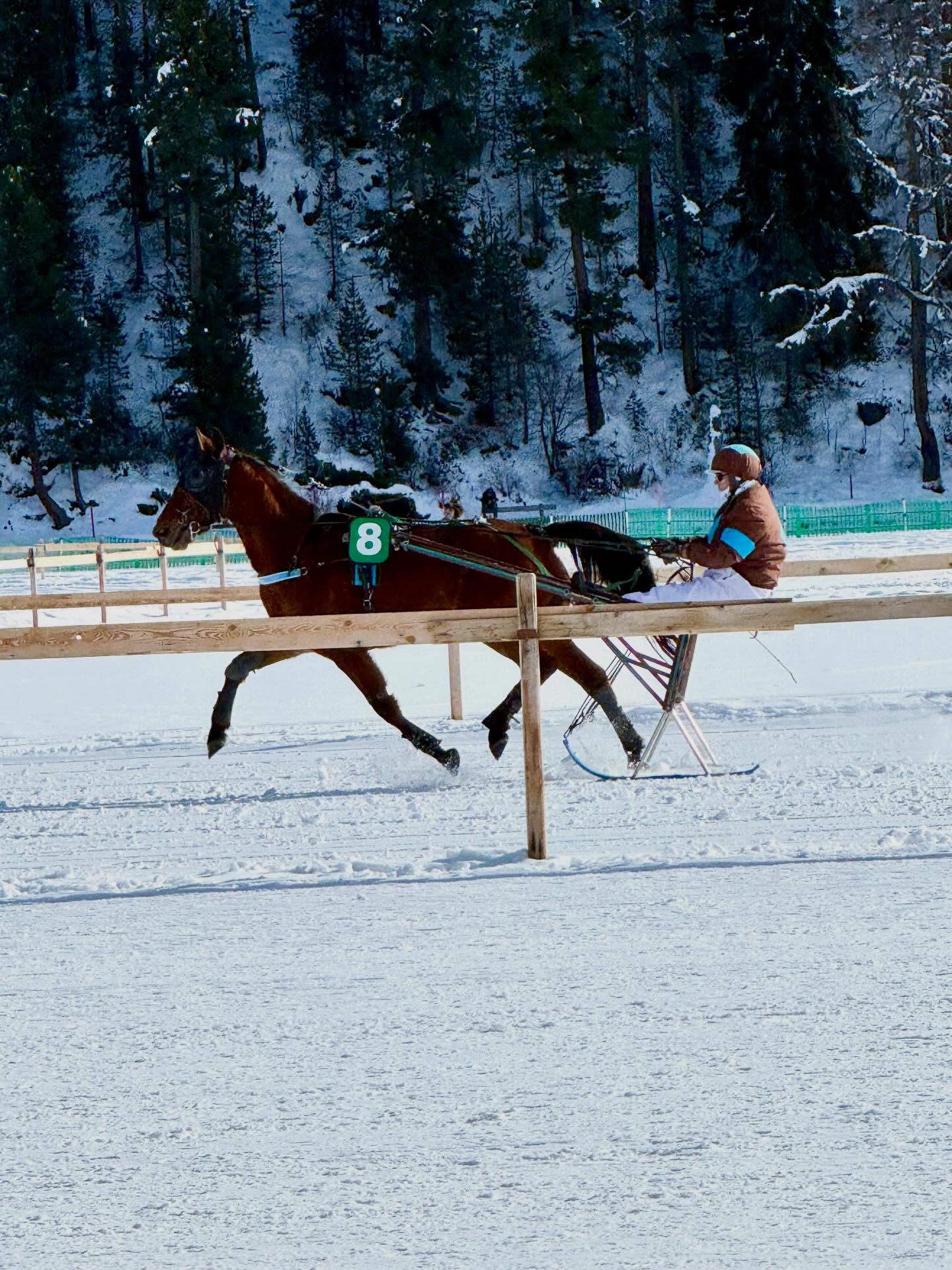 White Turf horse races #stmoritz #whiteturfstmoritz #switzerland🇨🇭 #travelbloggers #retireandtravel