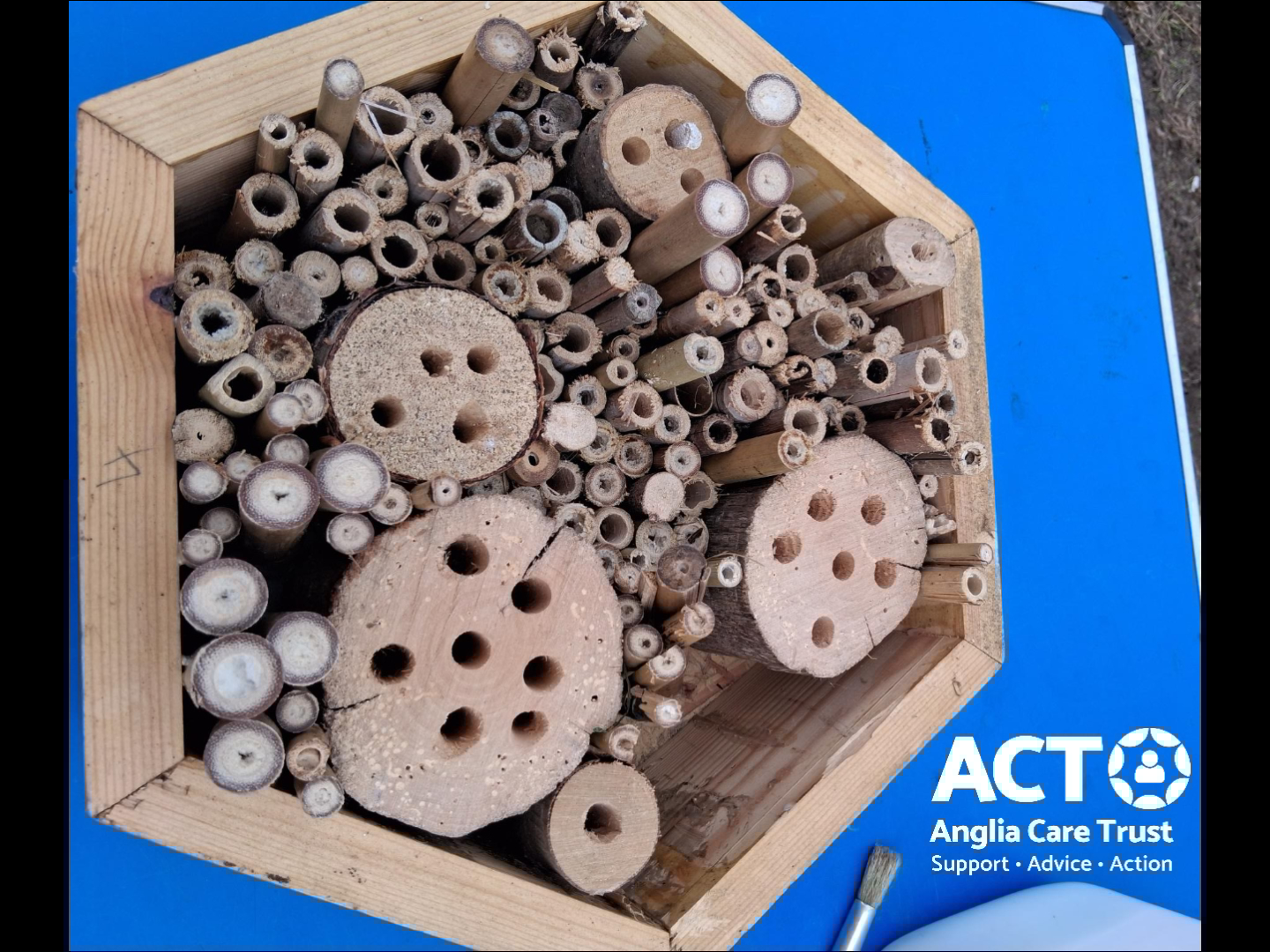 To mark Children’s Mental Health Week 2026, we want to talk about our Independent Visiting Service. The service provides Independent Visitors to Children in Care, giving them positive time out of the placement setting. All of our Independent Visitors are volunteers – giving up their time to help children explore hobbies, try new experiences and enjoy activities, no matter what other challenges they may face.
Nicky, one of our amazing volunteers, shares:
“When I was first linked to M, who has some sight loss, I was committed to finding activities where he could meet others who face similar challenges and it has really helped to build confidence in us both.
It is a real pleasure spending time with a child who has overcome many challenges yet remains upbeat, resilient and keen to help other children in the group. The bug hotel is something we built together. For anyone considering becoming an Independent Visitor for a child in care - do go for it!”
Nicky is an invaluable volunteer – we are so pleased to have her.
A big thank you to all of our volunteers who provide support to children and young people in our community.
If you would like to hear more about the Independent Visitor role, contact us on 01473 622888 or volunteer@angliacaretrust.org.uk
#IndependentVisiting #ChildrensMentalHealthWeek #HealthyMindsHappyKids #ChildrensMentalHealth