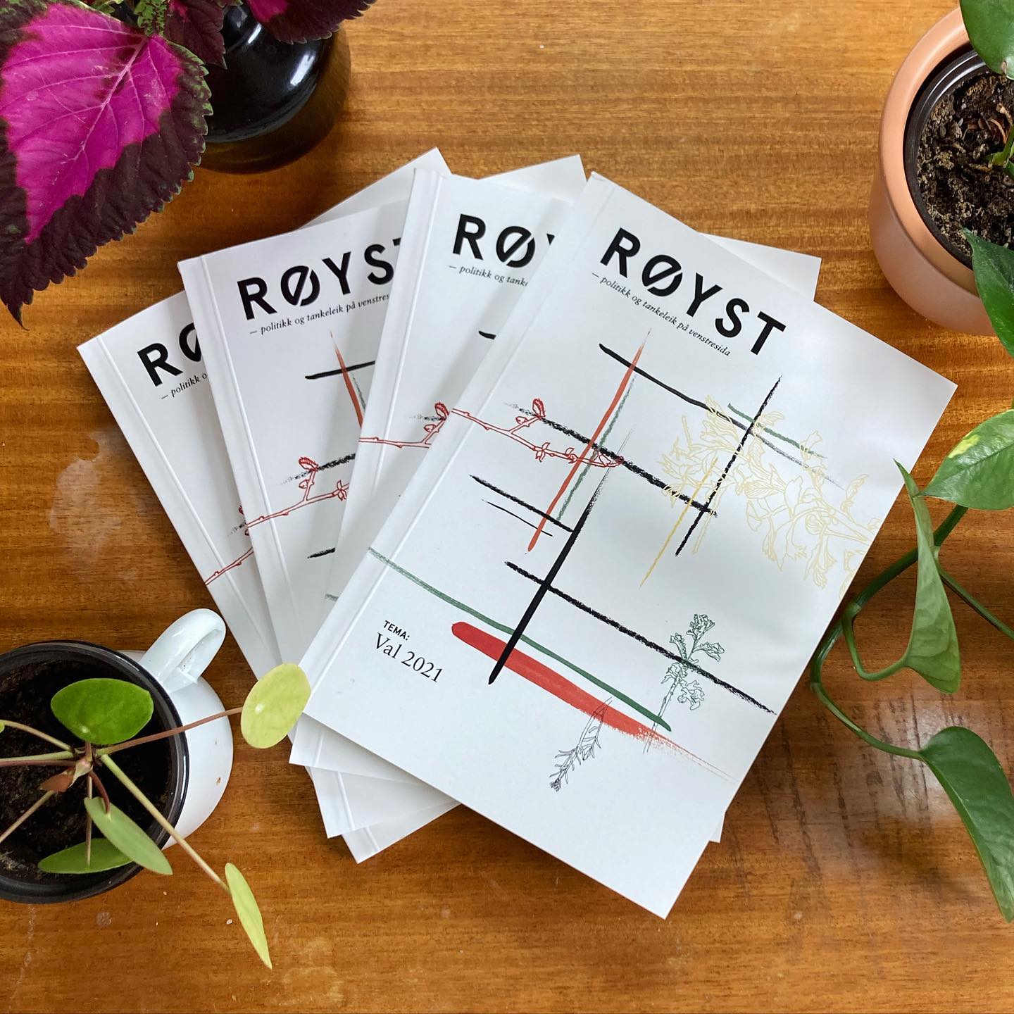 Årets sommarlektyre er på veg i posten. Nummer 16: Val 2021 er ferskt frå trykkeriet! Illustrasjoner: Signe Wohlfeil.
