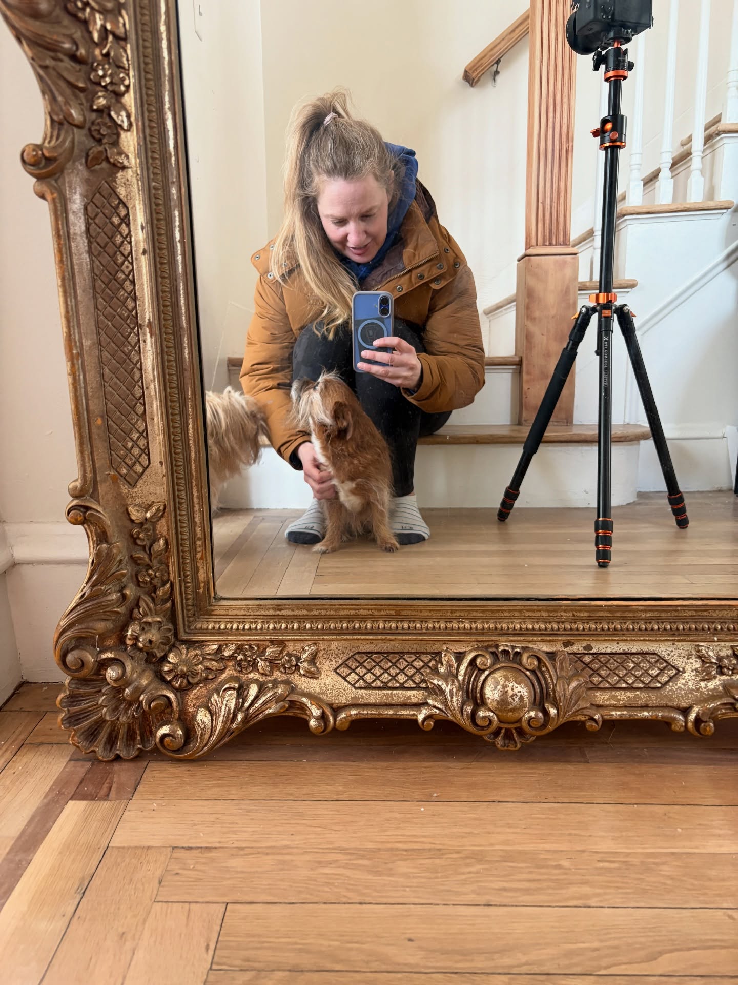 Always my favorite part off my job 🐕