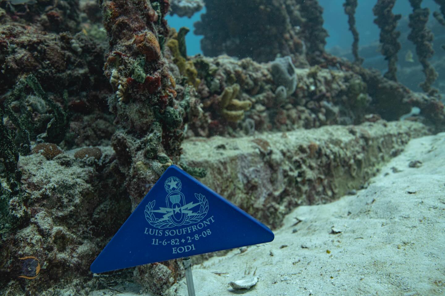 This Saturday, Subsurface Veterans will conduct our 3rd memorial dive honoring EOD1 Luis Souffront.
The dive is full, but all are welcome to join us for a toast afterward.
📍 Gramps Getaway, Key Biscayne
⏰ Around 6 PM
Come raise a glass, share stories, and honor a brother.
Long live the brotherhood. 🇺🇸⚓️ @jsamuel215 @brunoraschio @carriew123 @diversparadisemiami @neptunememorialreef #veteran #scuba #therepy #lltb @foldsofhonor @eclipsecompanies