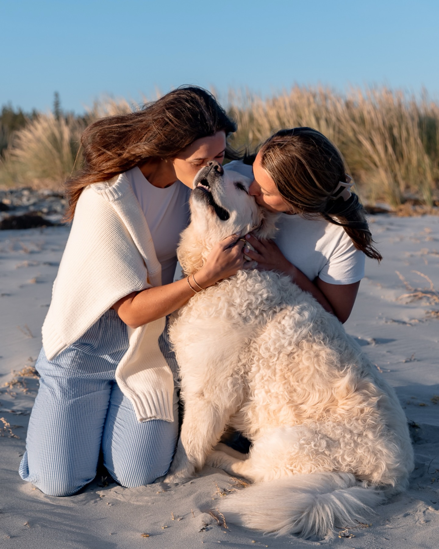 Let’s go back to when the weather was warmer and running barefoot on the beach felt like the most natural thing in the world. The Nelson family did just that and Oscar was right there with them; big, goofy, and having the time of his life.
Winter always feels so long. I miss the ocean, the warmth and days that don’t require effort to get through them. Looking back at moments like this reminds me that those days exist and they’ll return in their own time.
#novascotia#ns#novascotiaphotographer#petphotographer#dog
