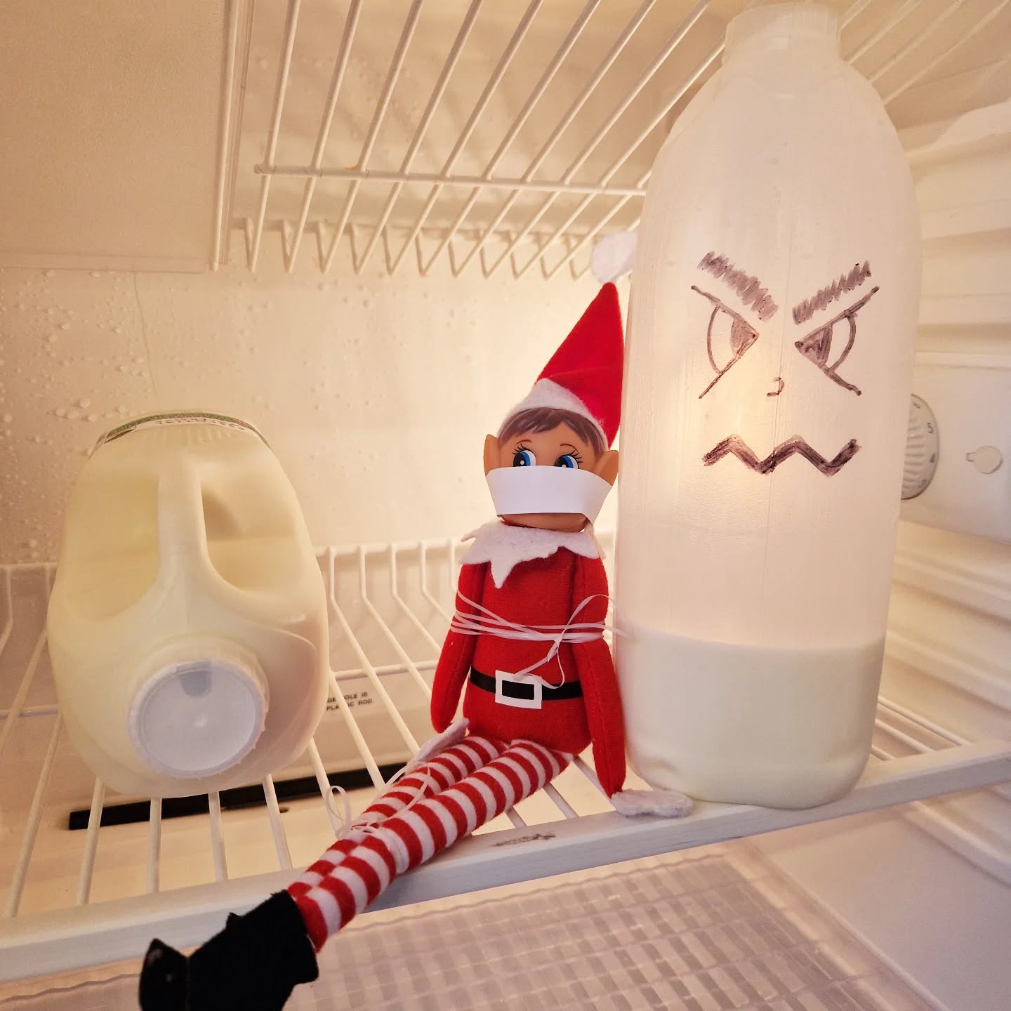 Floss is in need of some help 😅
The milk has gone bad 🥛👹