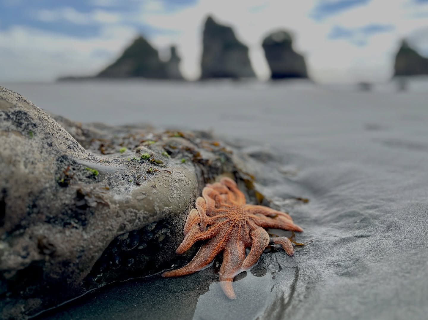 A short walk along the beach from @viewwitharoomnz and you’re sure to meet some of the locals.