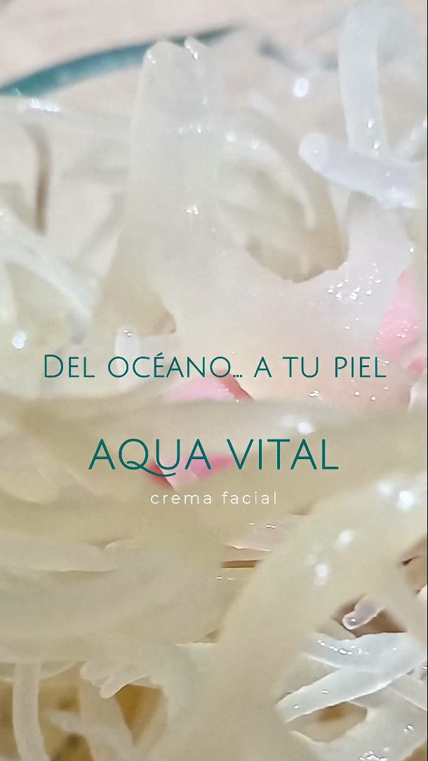 Todo empieza en la naturaleza 🌊
Hidrato el musgo de mar, lo transformo en gel y lo convierto en el corazón de esta crema.
Después sumo espirulina azul, antioxidantes y mucho amor.
Así nace AQUA VITAL 💙
Ligera, fresca y profundamente hidratante.
Nutre, protege y devuelve esa luminosidad saludable que la piel ama.
Porque tu piel no necesita más químicos…
Necesita ingredientes vivos.
#seamoss #organico #natural #cosmeticanatural #cremafacial